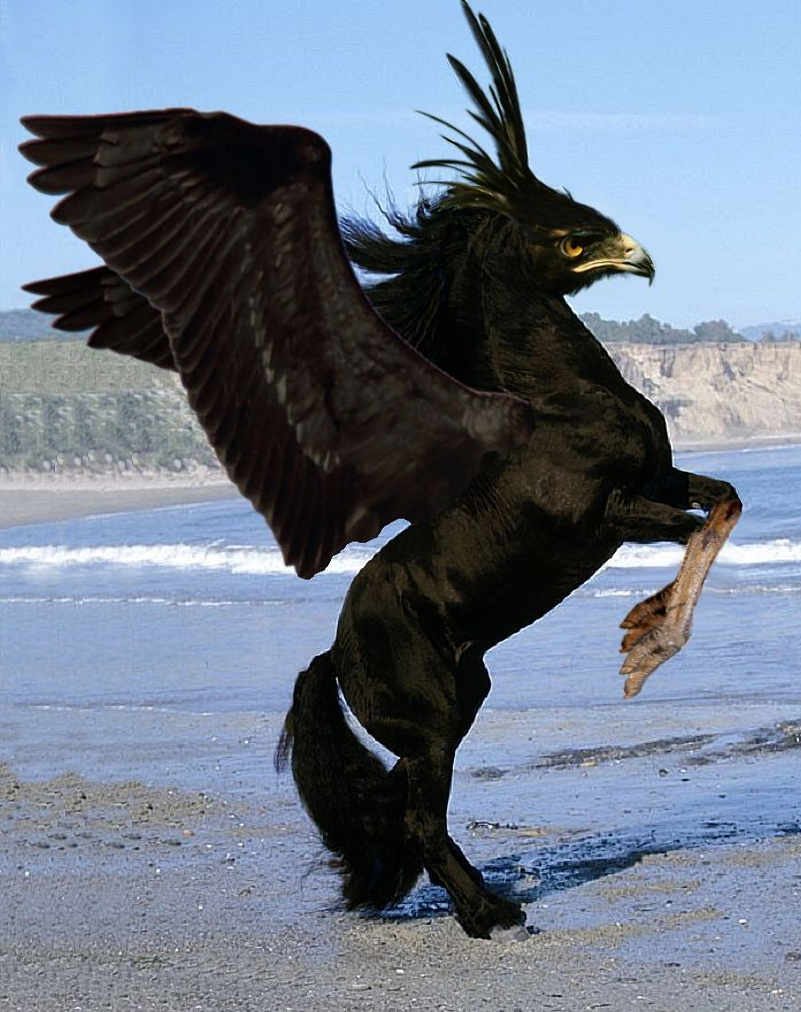 Free photo Eagle Horse