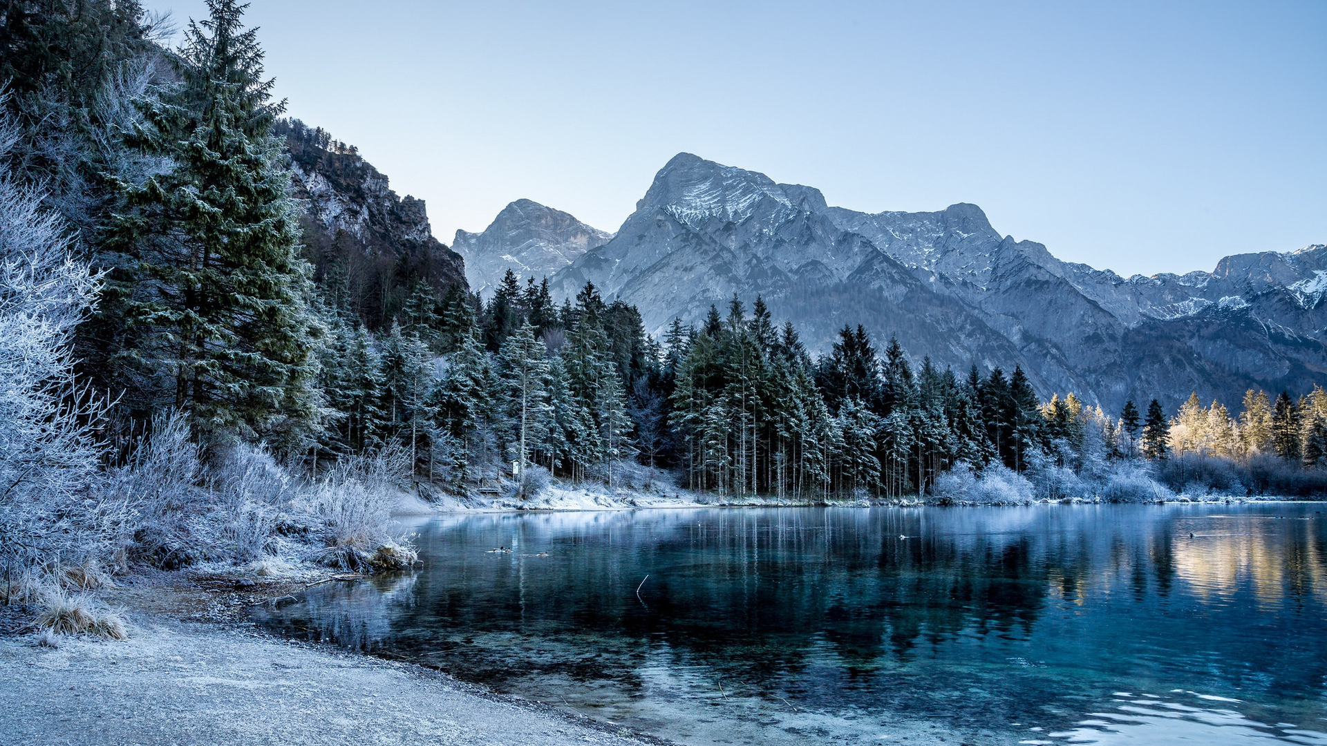 Бесплатное фото Лесное ледяное озеро