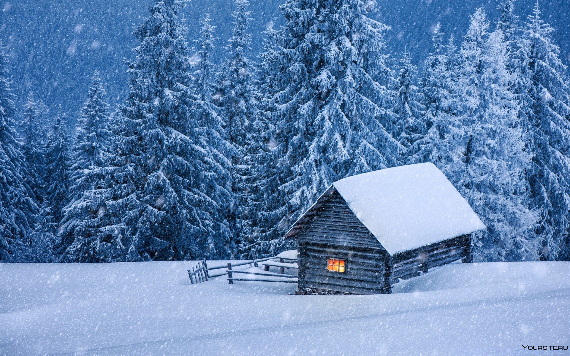 Wallpaper house covered with snow among white fir trees