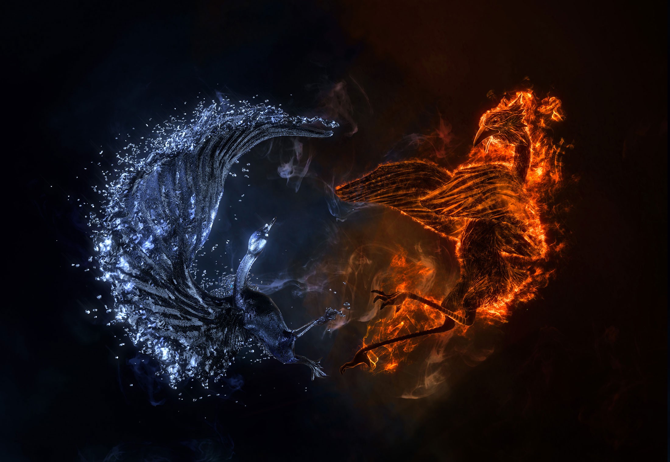 Обои абстрактный птицы утка на рабочий стол