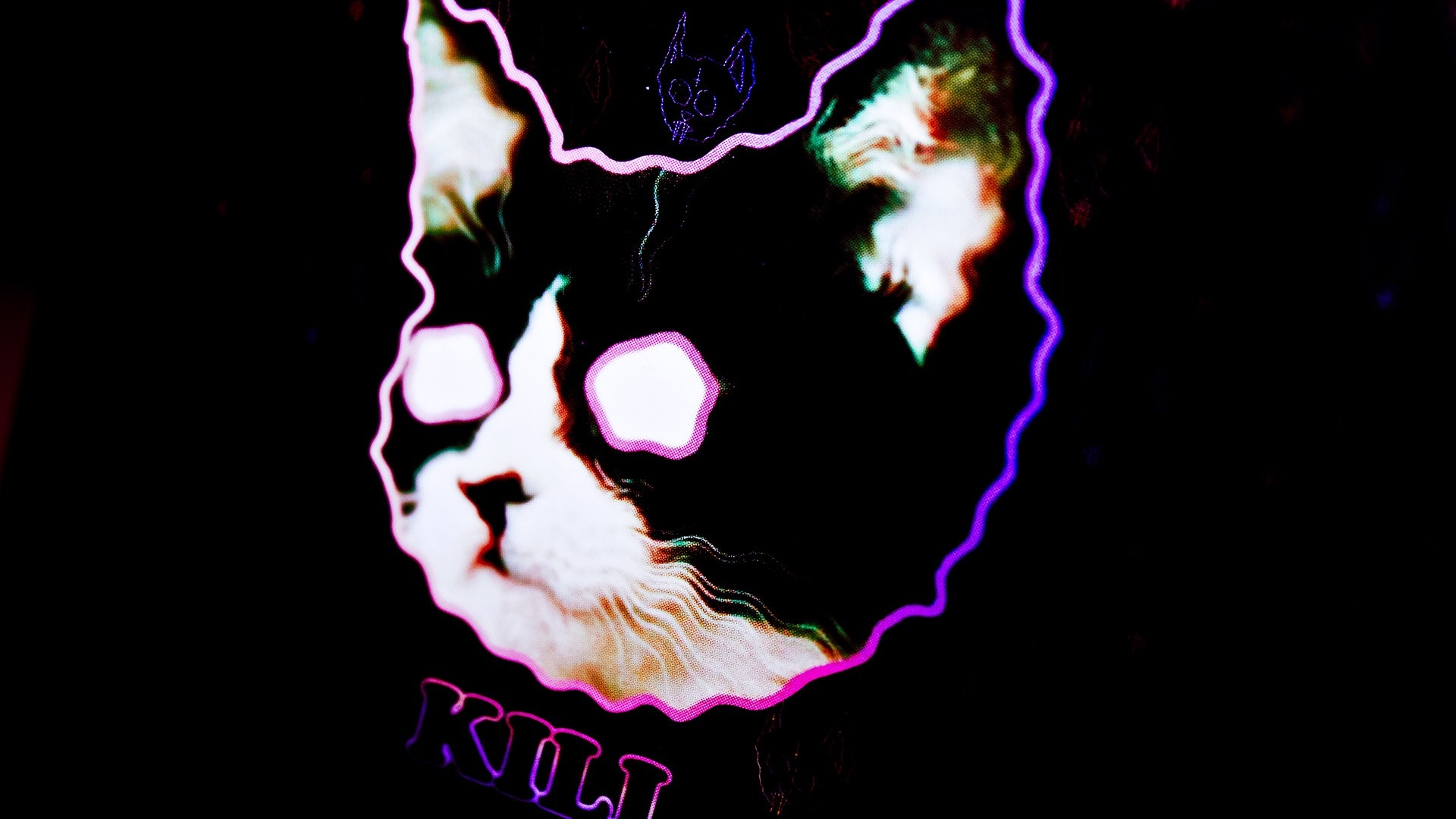 Wallpapers cat drawing neon on the desktop