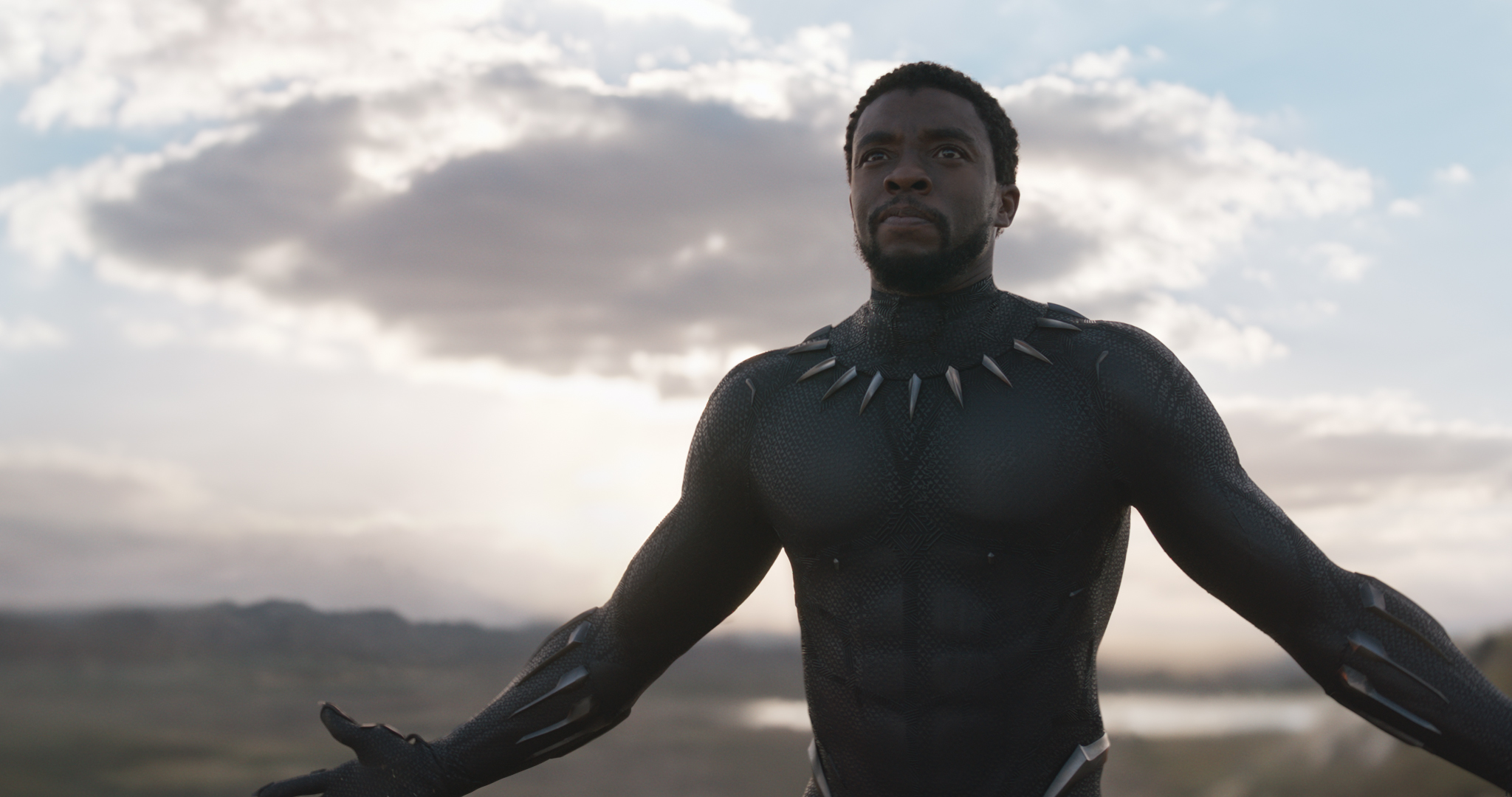 Wallpapers chadwick boseman black panther 2018 movies on the desktop