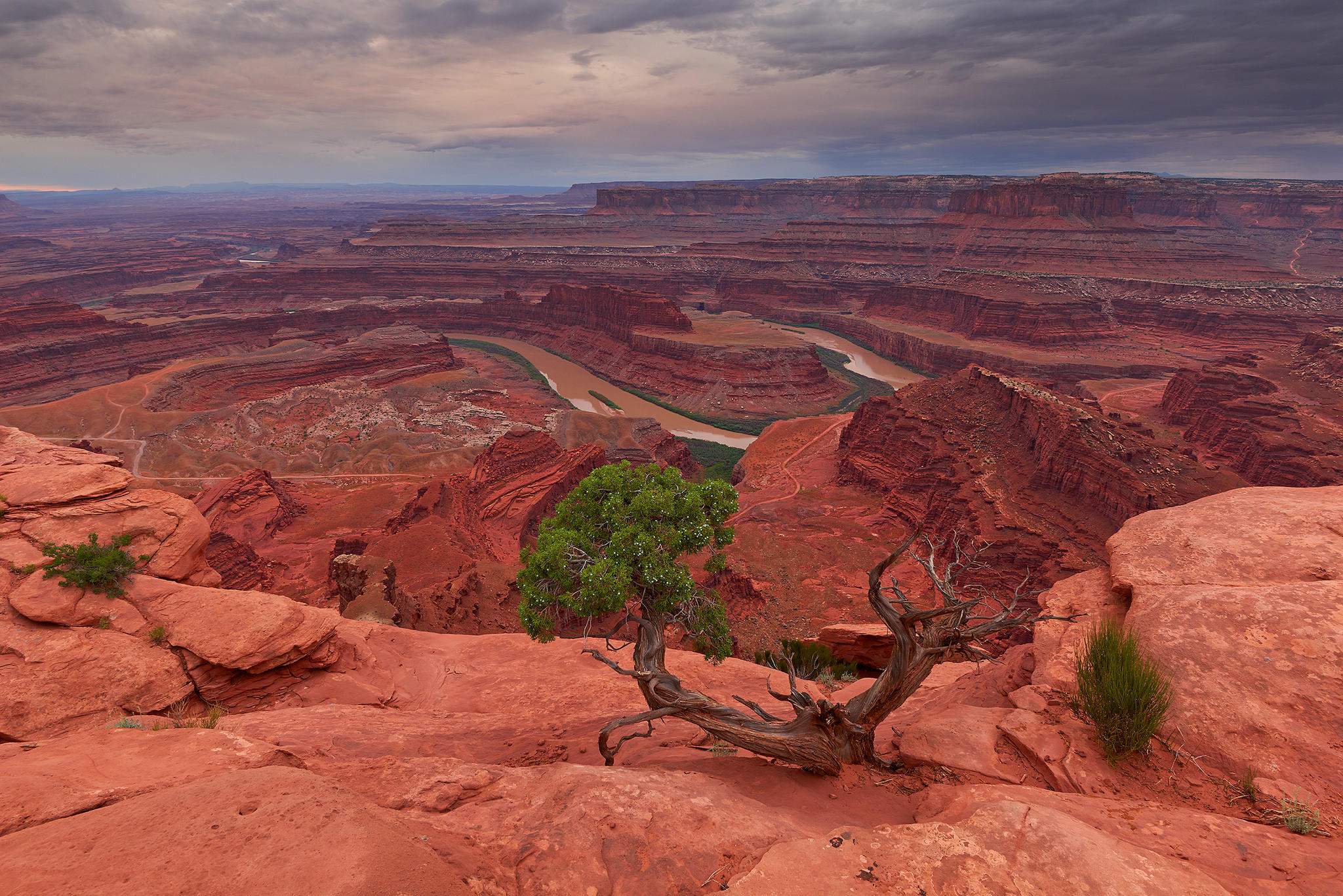 Обои Dead Horse Point Dead Horse State Park горы на рабочий стол