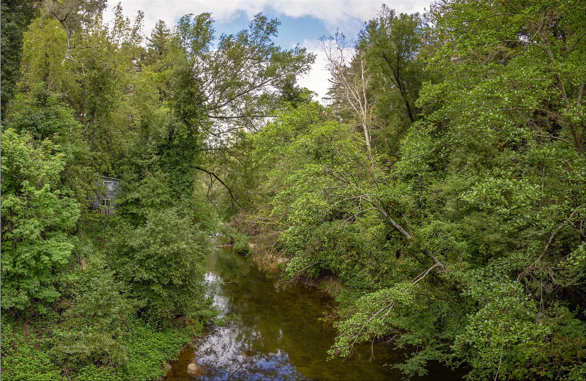 Обои The San Lorenzo River округ Санта-Круз долина Сан-Лоренцо на рабочий стол