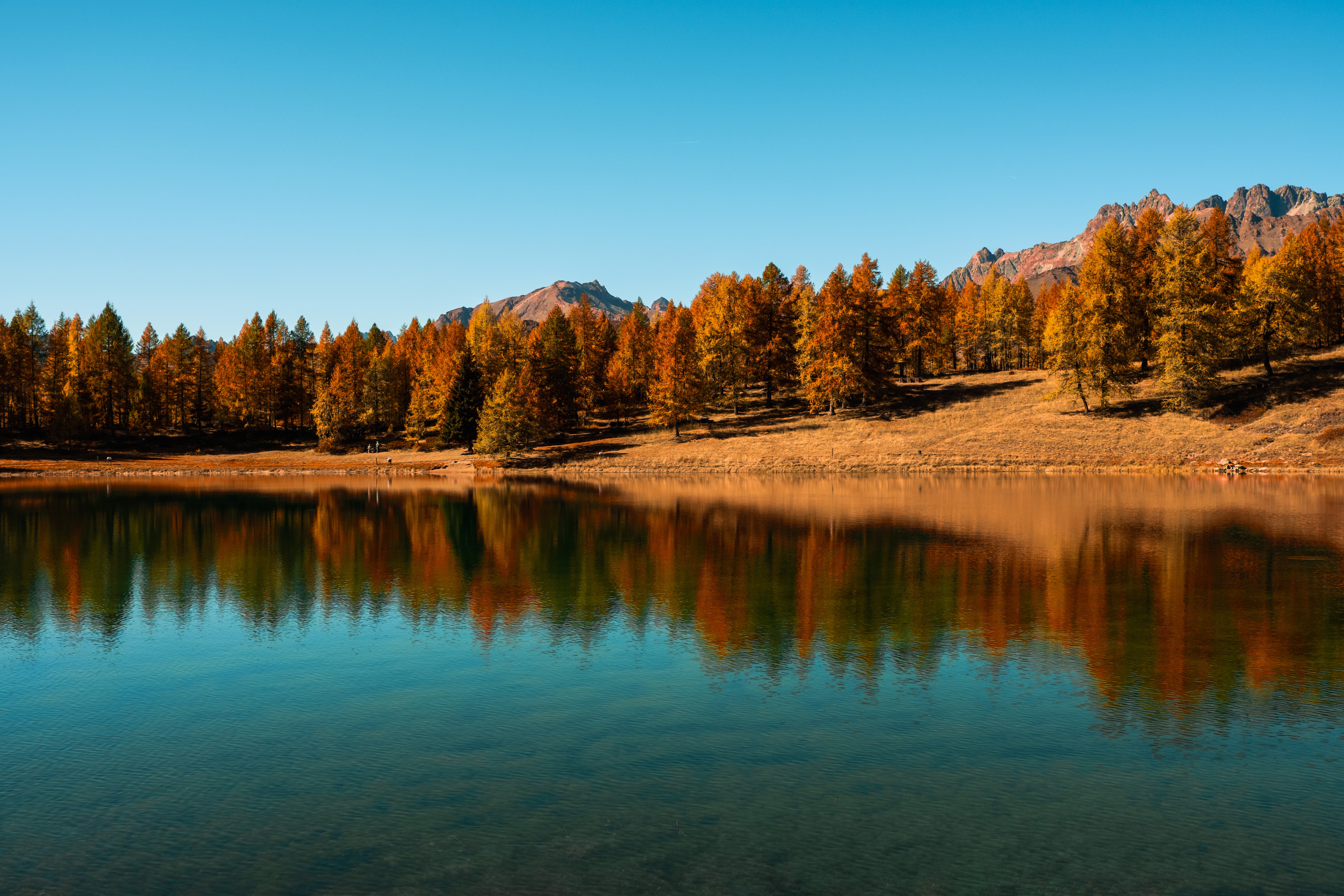 Free photo Tranquility on the shore by the lake