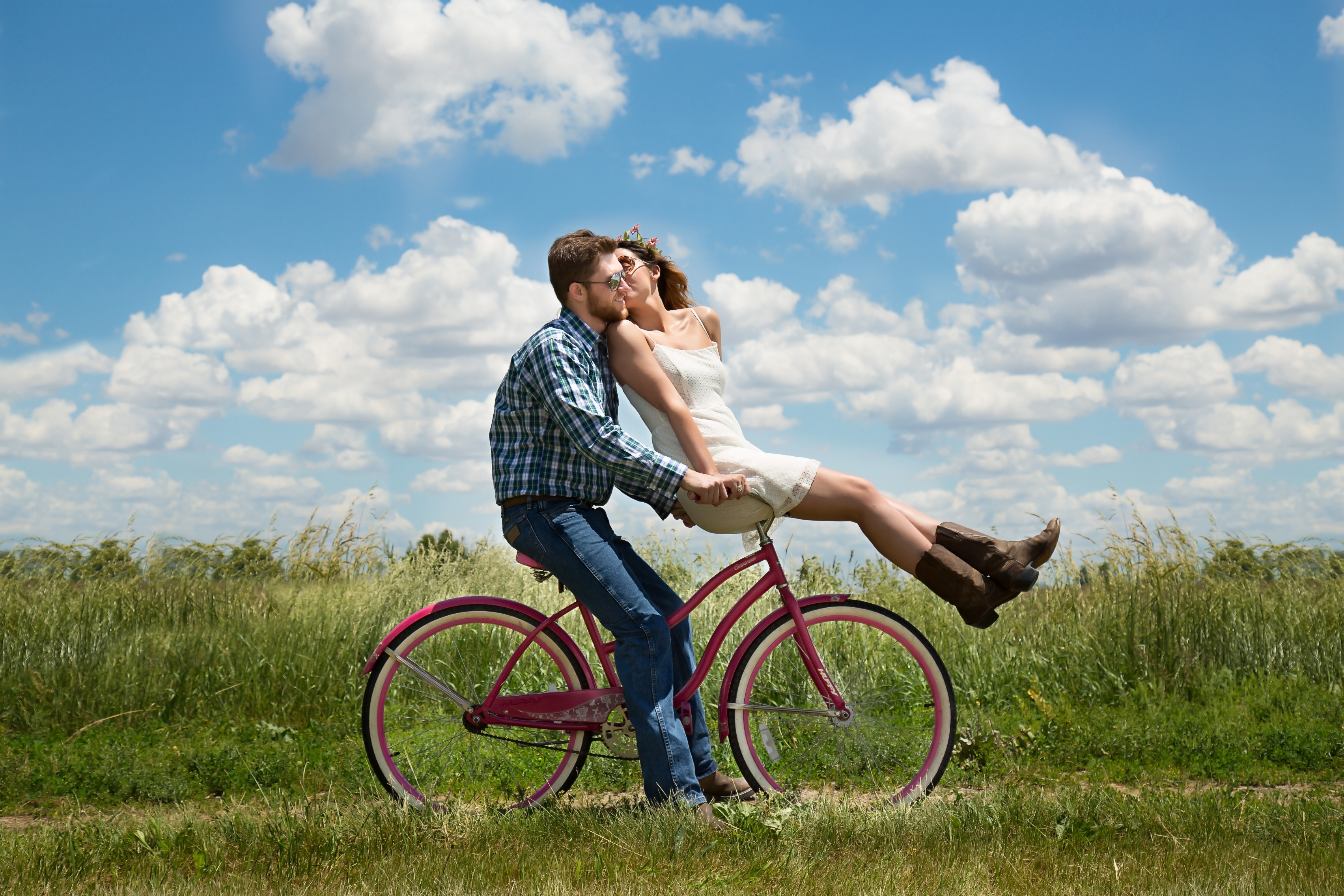 Wallpapers grass meadow bicycle on the desktop