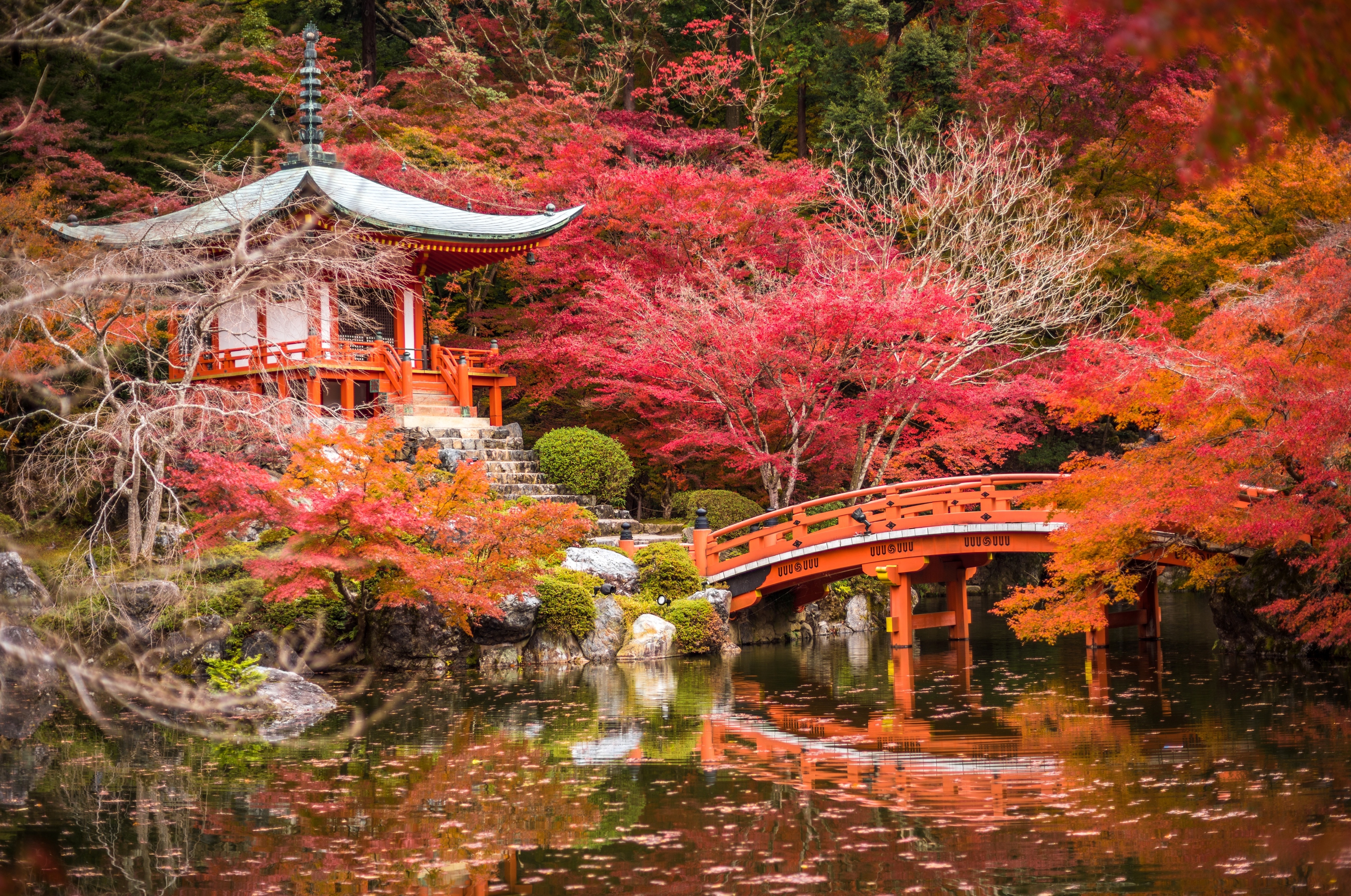 日本秋季森林中的寺庙