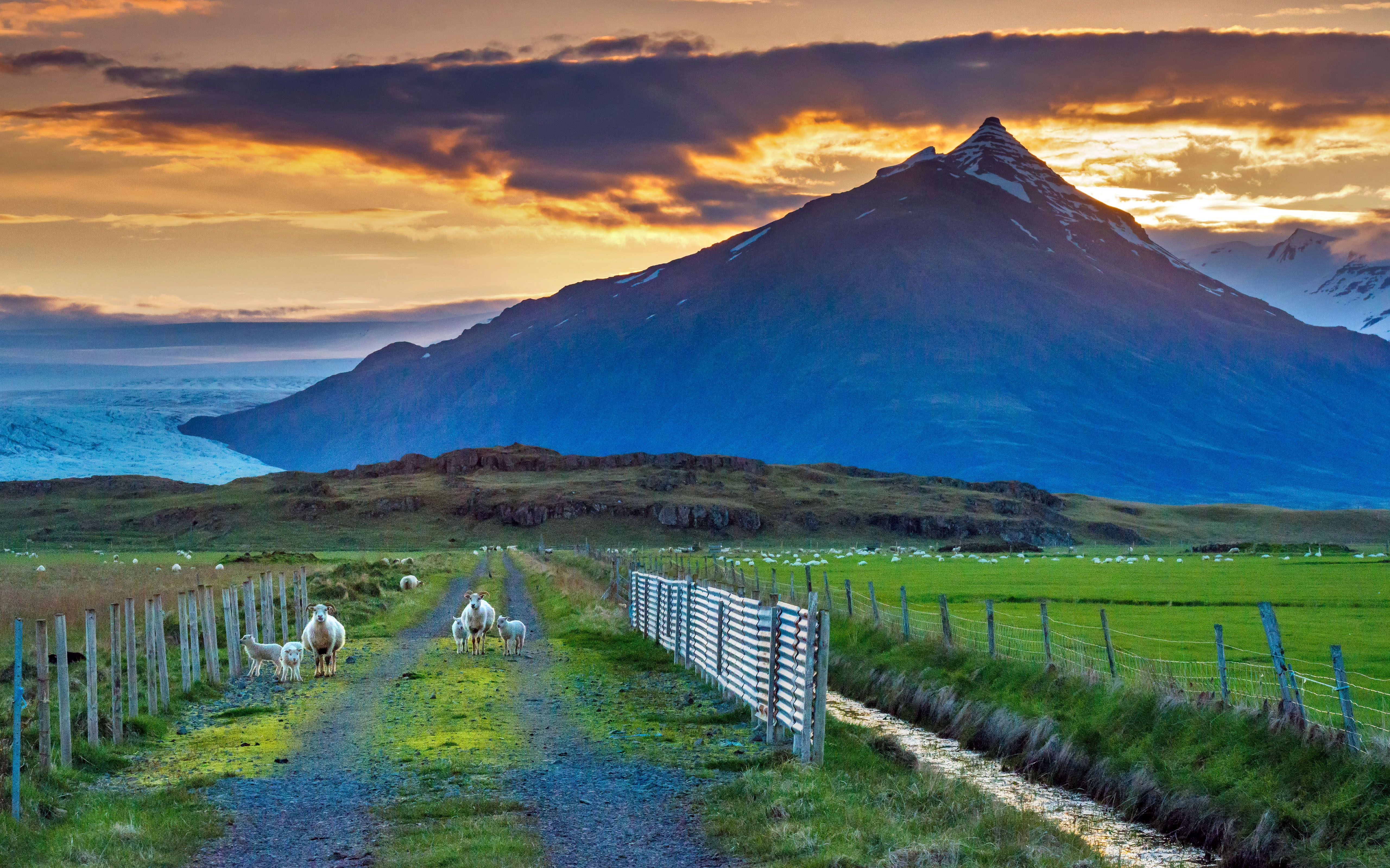 Free photo Sheep grazing near a big lonely mountain