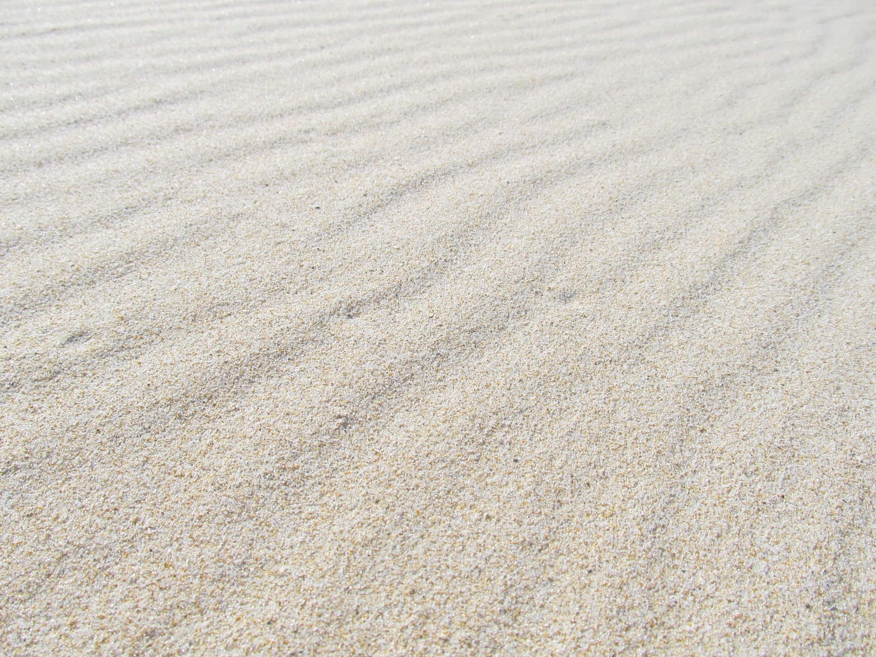 Обои песчаный пляж песчинки пляж на рабочий стол