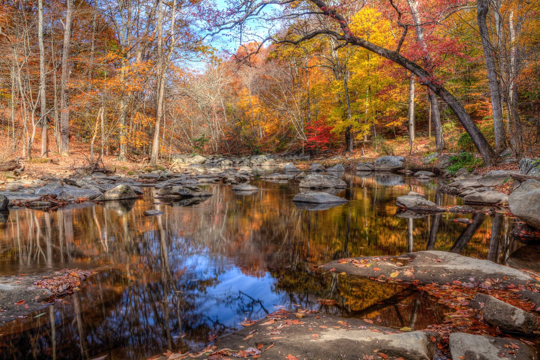 Wallpapers autumn forest pond on the desktop