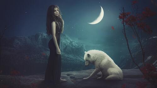 Обои белый волк и женщина полумесяц звезды на рабочий стол