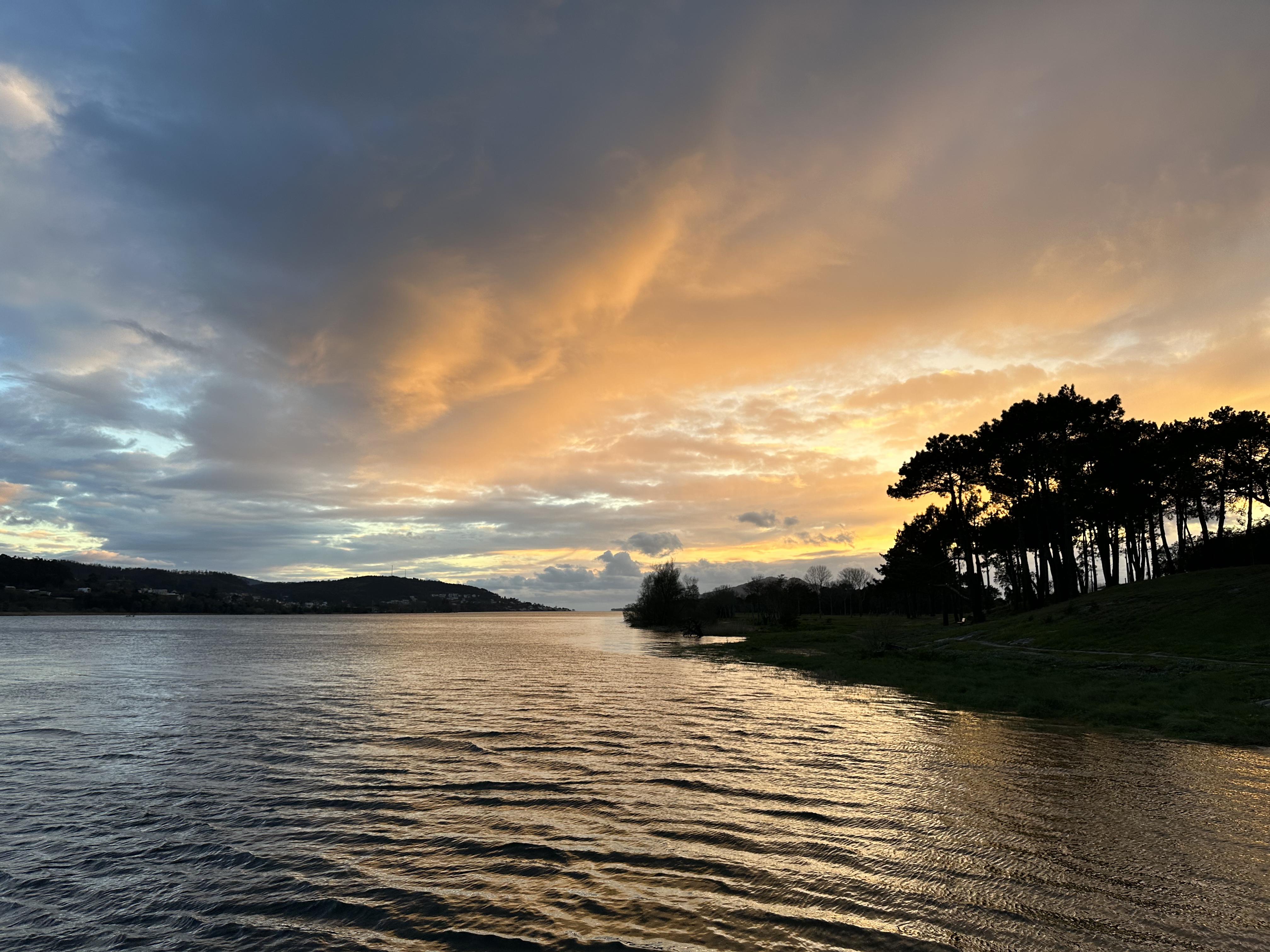 Free photo Beautiful evening on the river