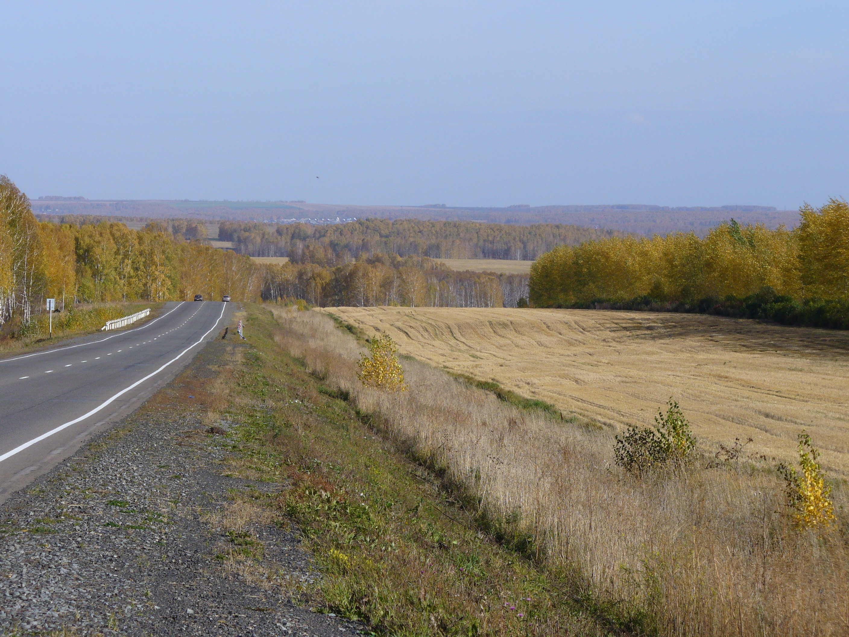 Free photo Field after harvesting against the background of autumn trees