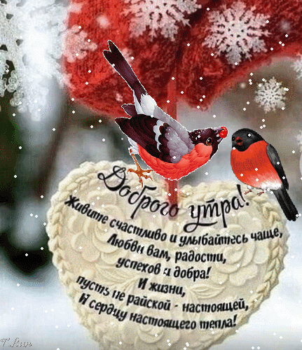 Postcard on the theme snow bullfinches winter morning wish download for free