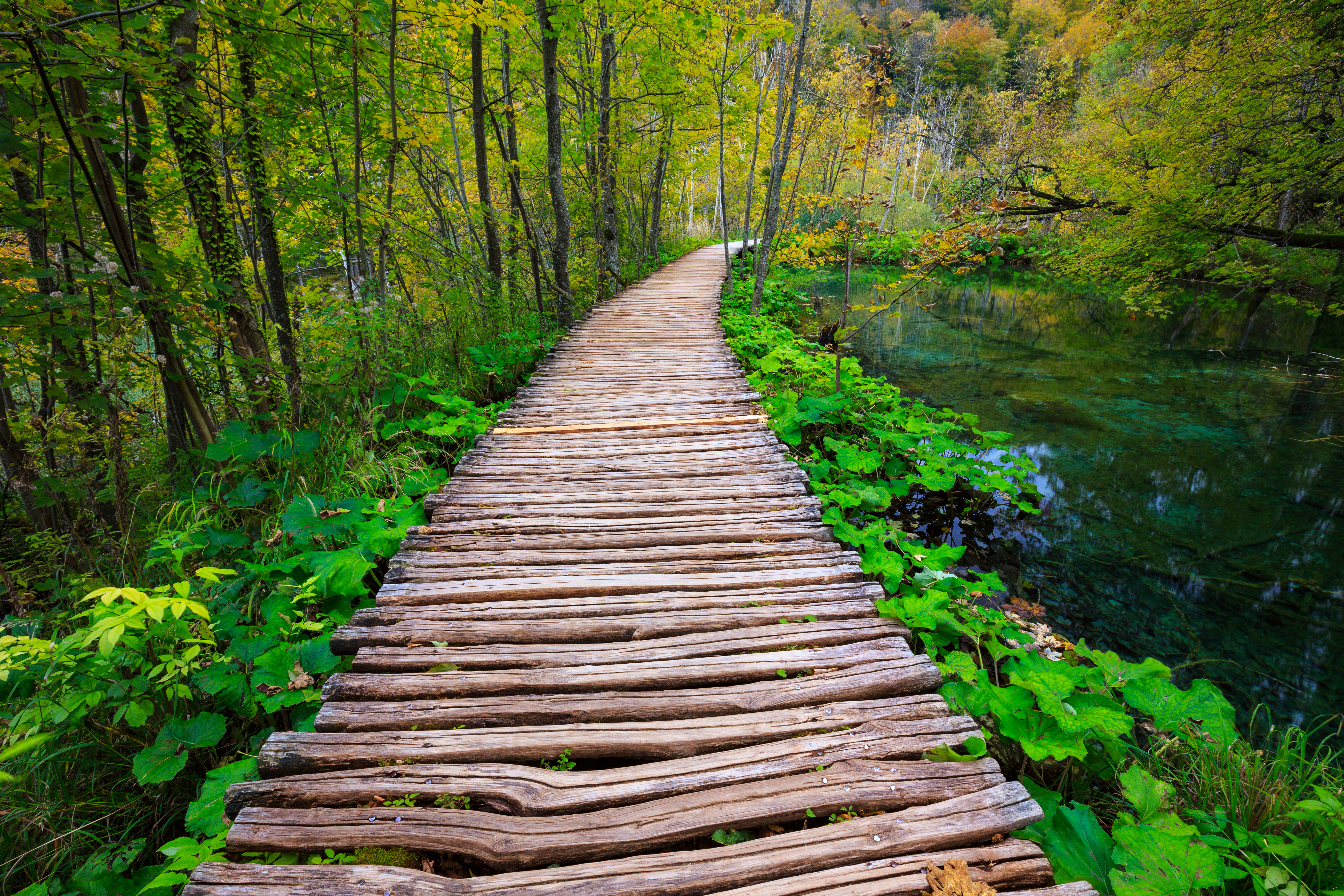 Free photo Download screensaver plitvice lakes, croatia