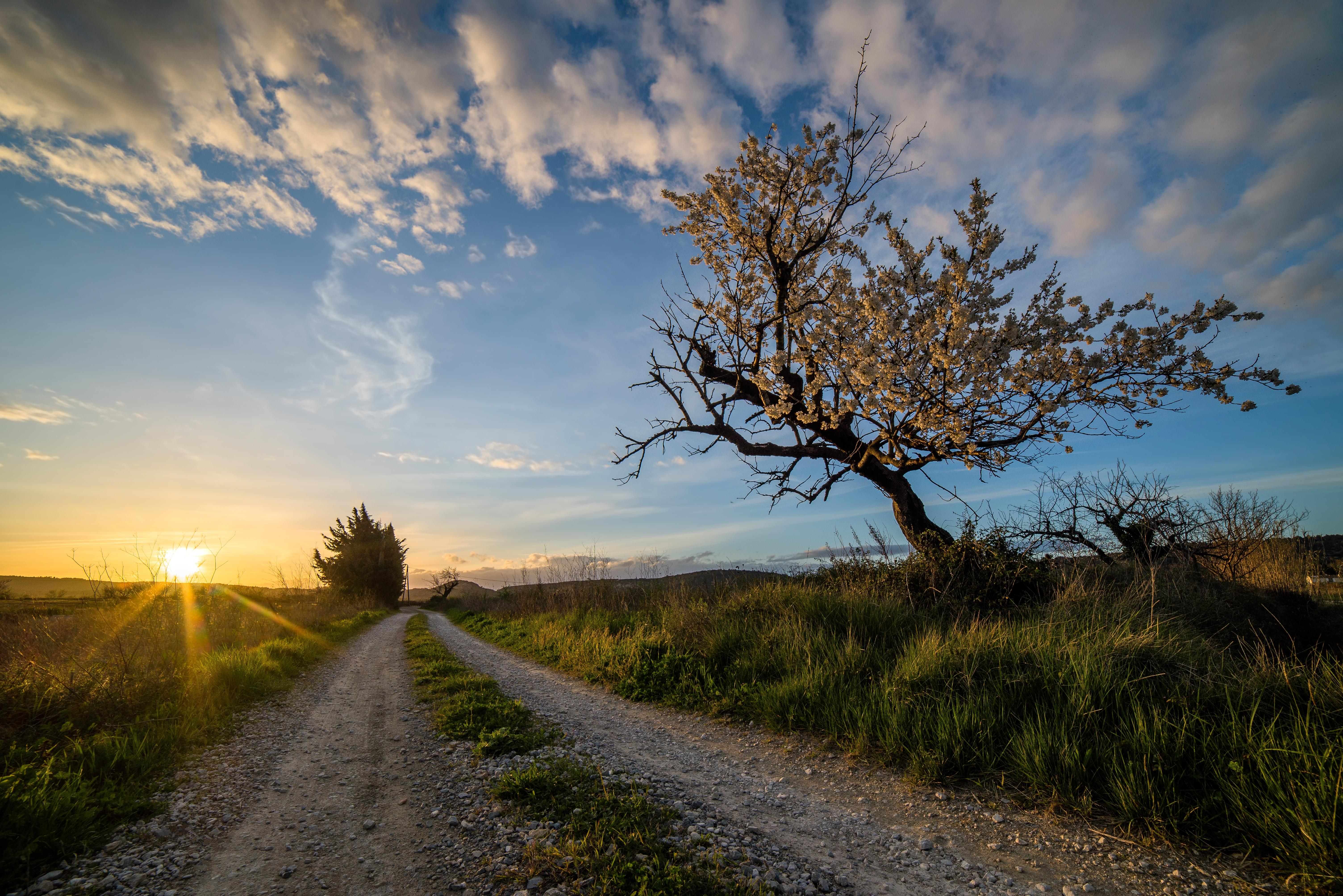 Wallpapers sun rays dirt road gravel road on the desktop