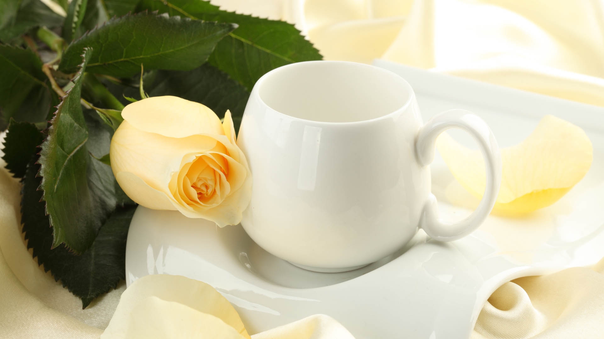 早餐时，一杯白葡萄酒配一朵孤零零的玫瑰花