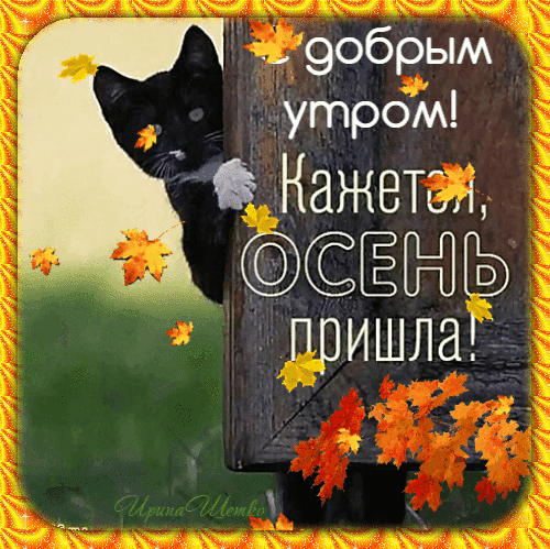 Бесплатная открытка С добрым осенним утром, поздравляет черный кот