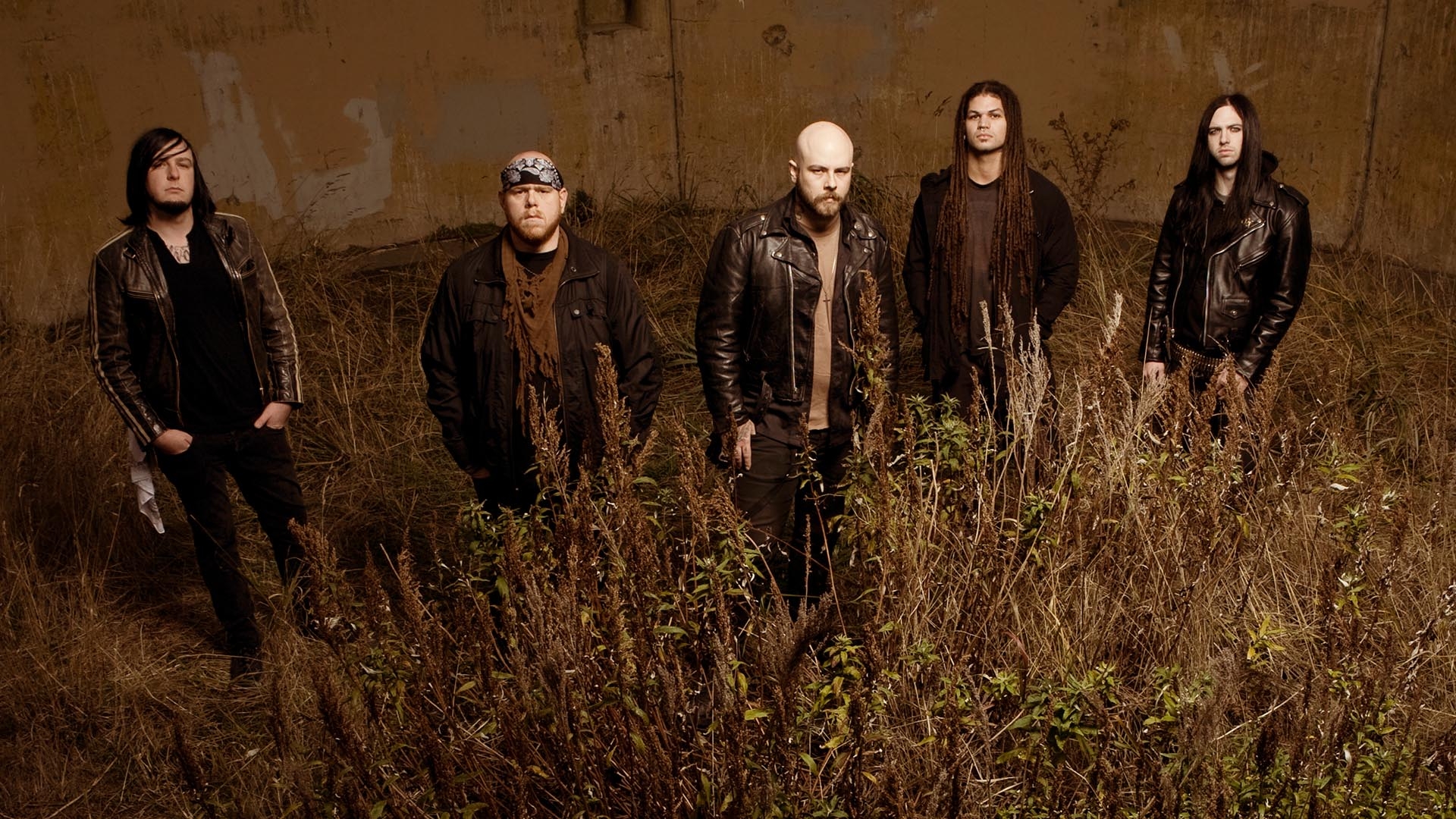 Wallpapers grass dreadlocks Demon Hunter on the desktop