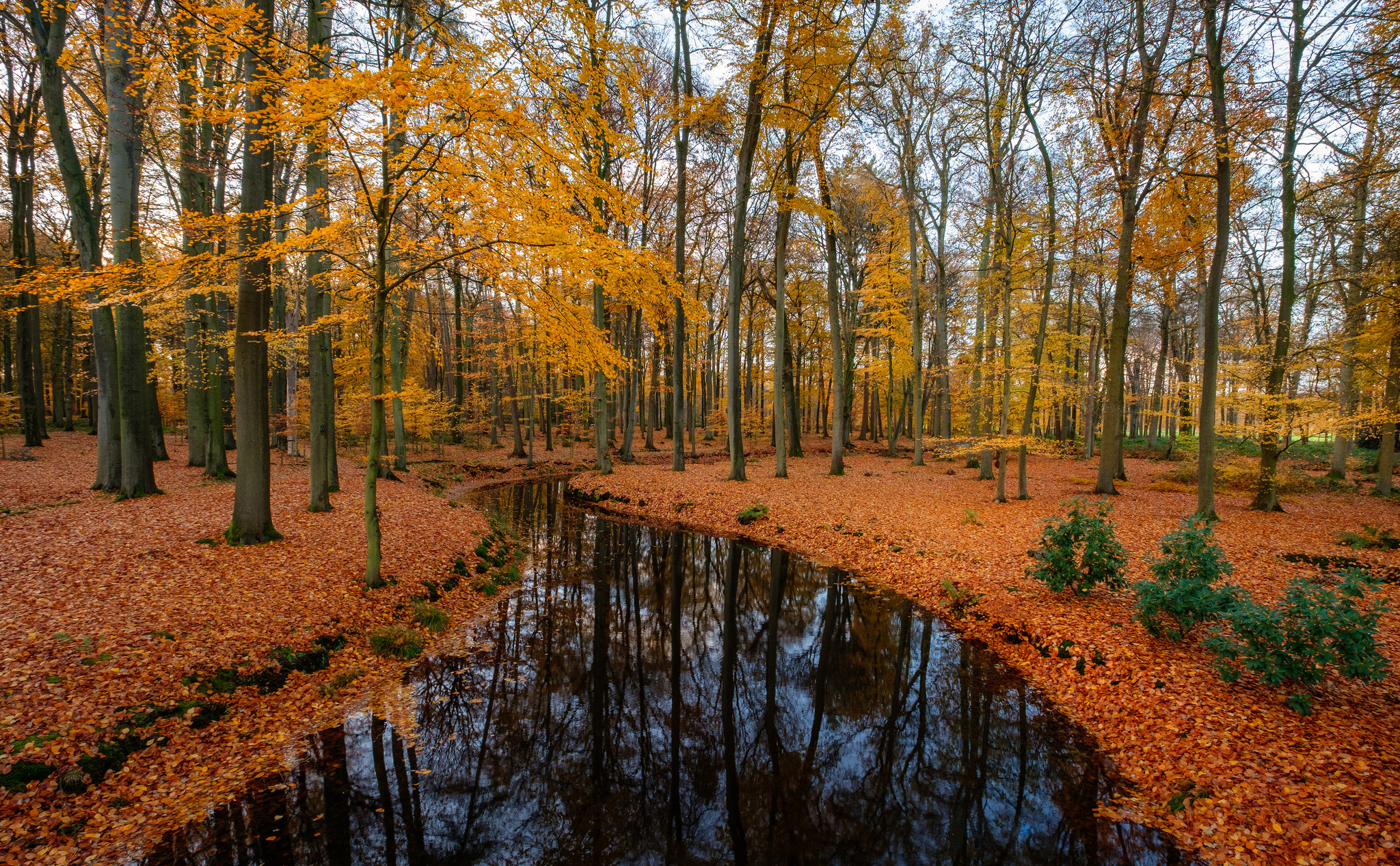 Free photo Beautiful photos on the theme of the river, trees