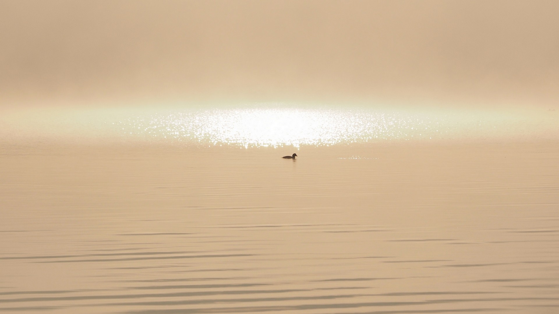 Обои солнечный свет закат море на рабочий стол