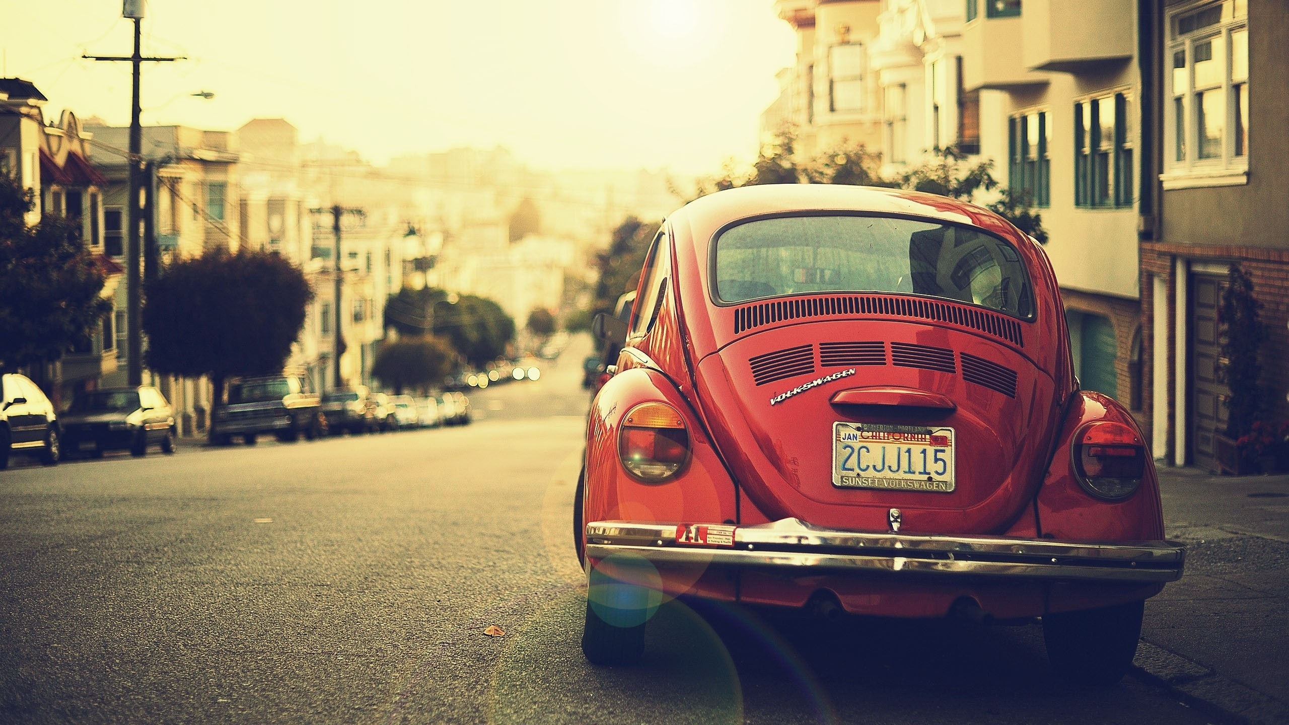 Wallpapers Volkswagen bug view from behind on the desktop