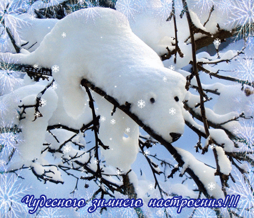 Открытка на тему белый медведь снег зима скачать бесплатно