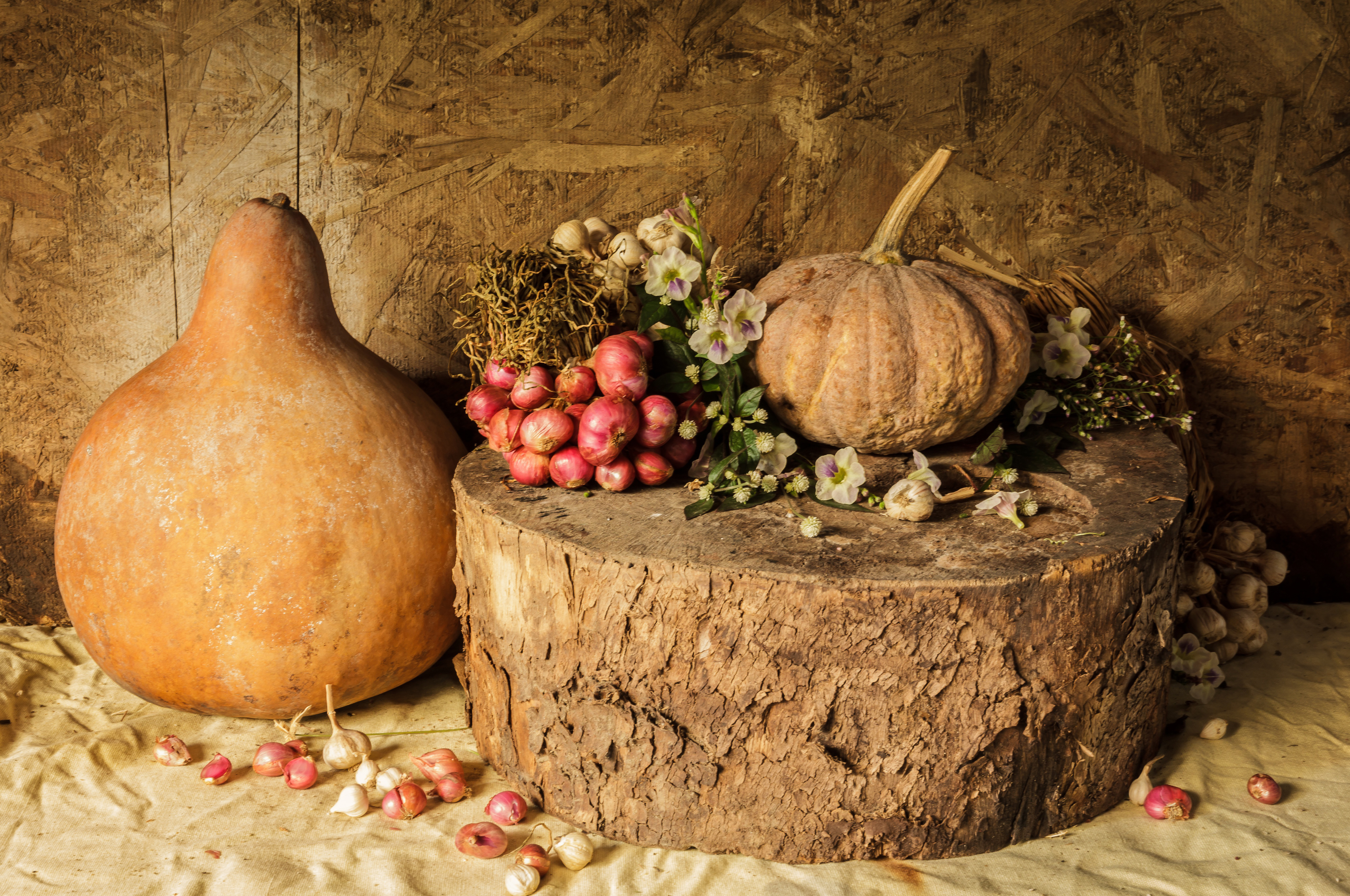 Free photo Still life with pumpkins