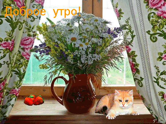 Postcard on the theme summer kitten flowers download for free