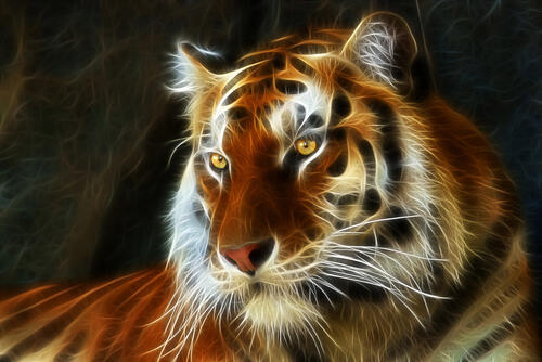 Sign in Tiger art, Cat art, Animal wallpaper