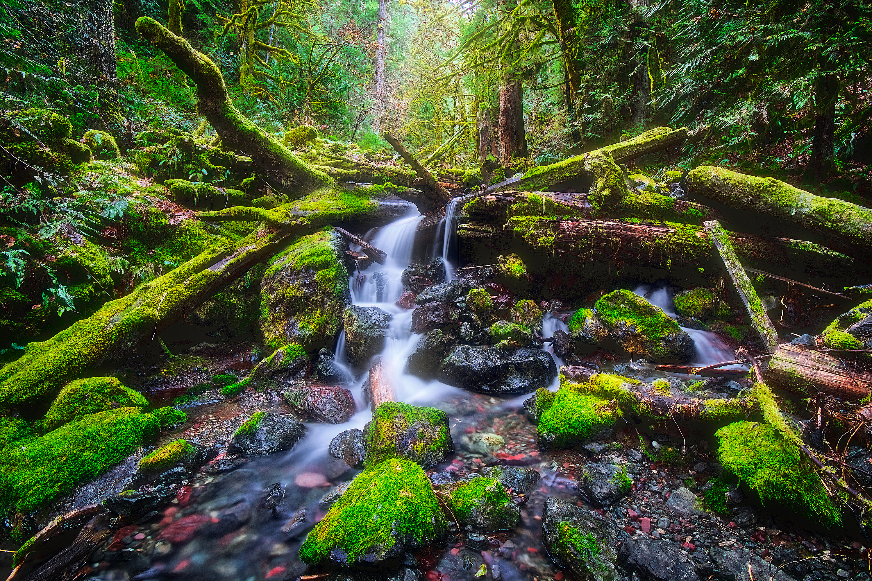 Wallpapers Copper Creek in Washington State near Lake Cushman copper Creek Washington on the desktop