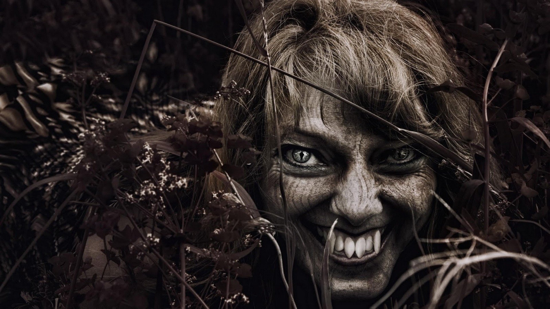 Wallpapers demon horror vampires on the desktop