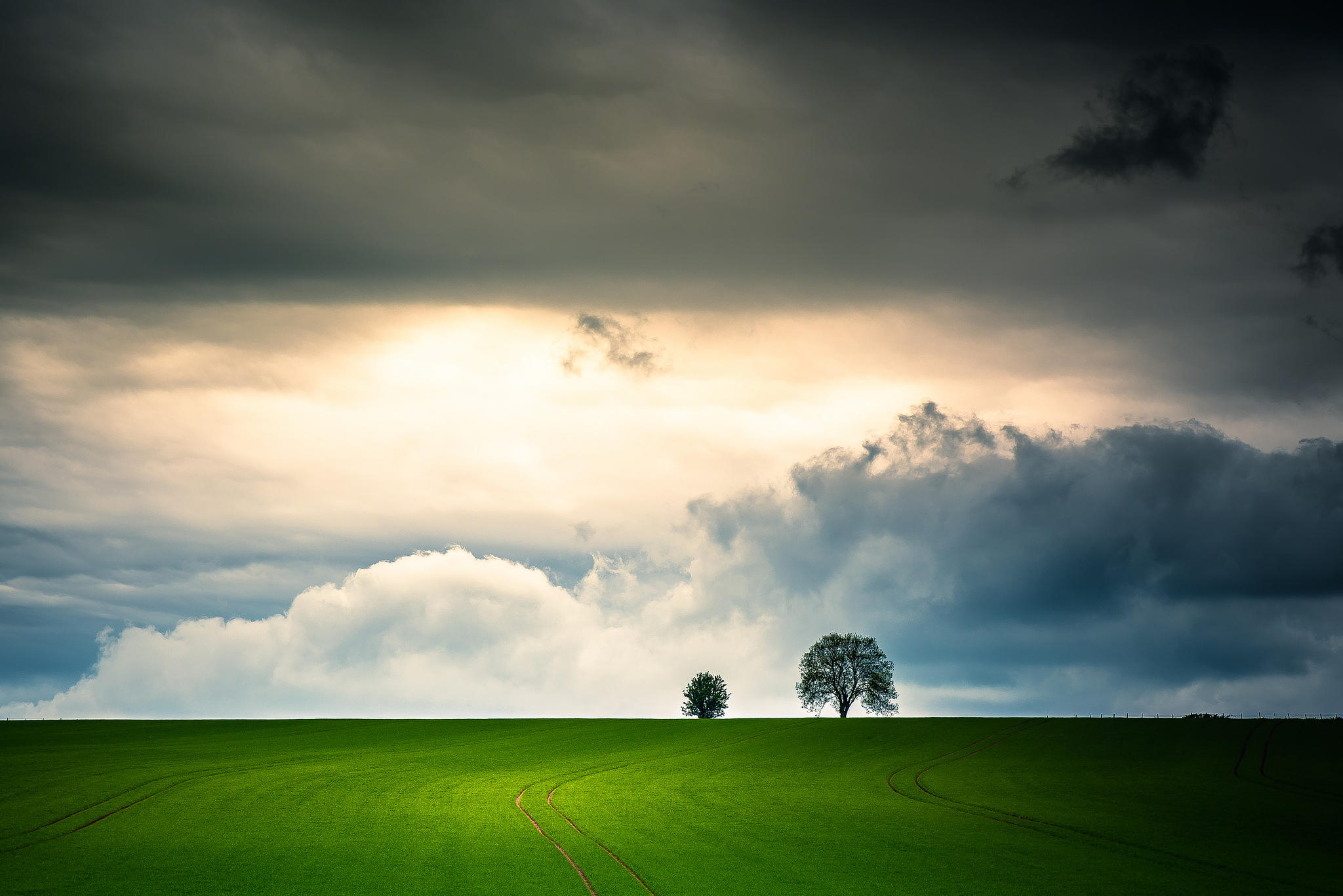 Free photo Screensaver clouds, trees on the monitor