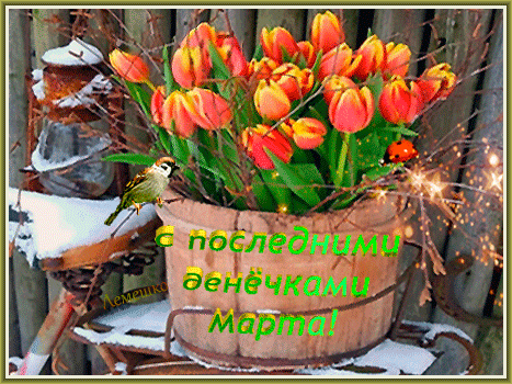 Открытка на тему божья коровка тюльпаны воробей скачать бесплатно