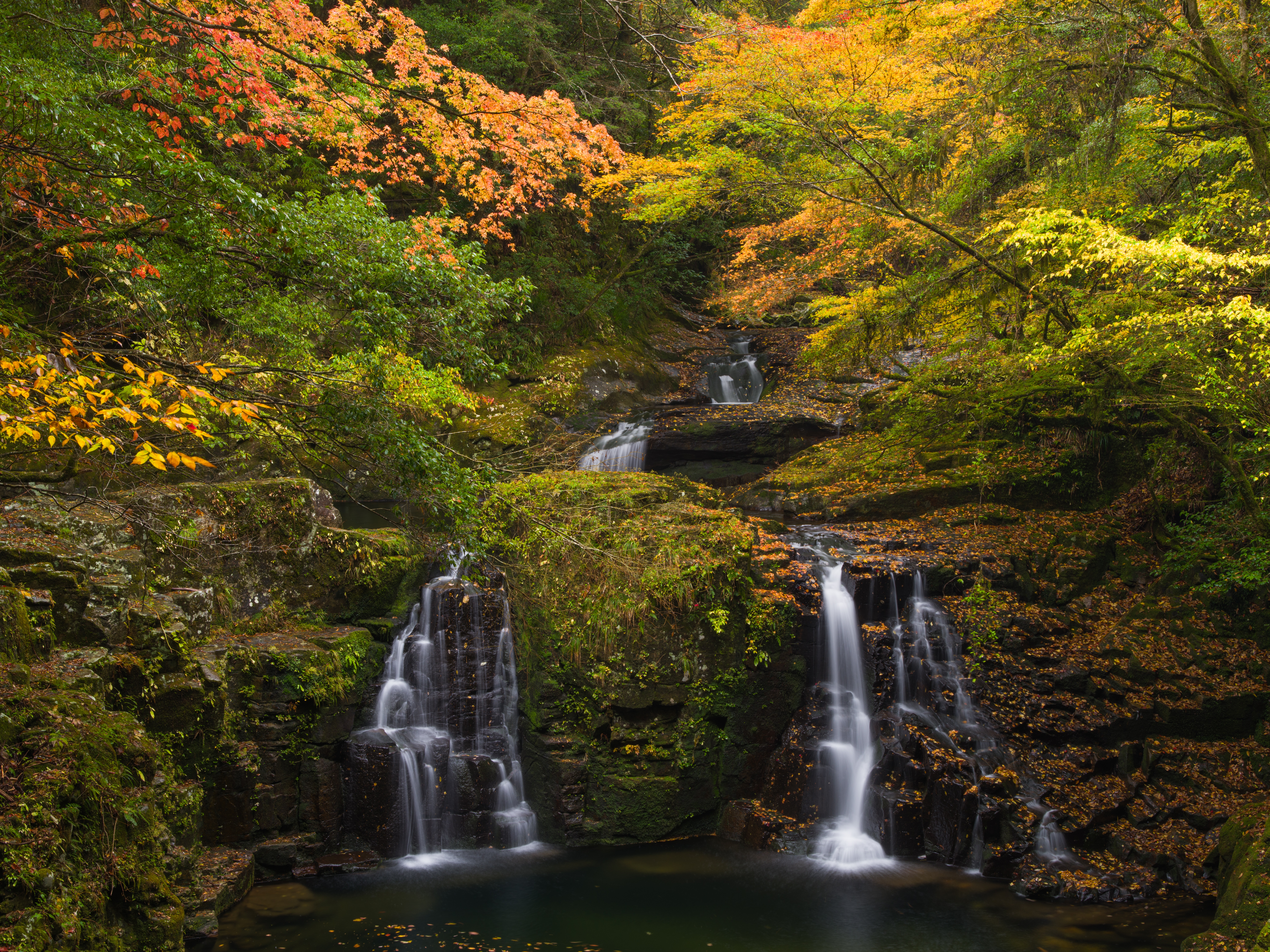 Wallpapers autumn forest waterfall in the forest landscape on the desktop
