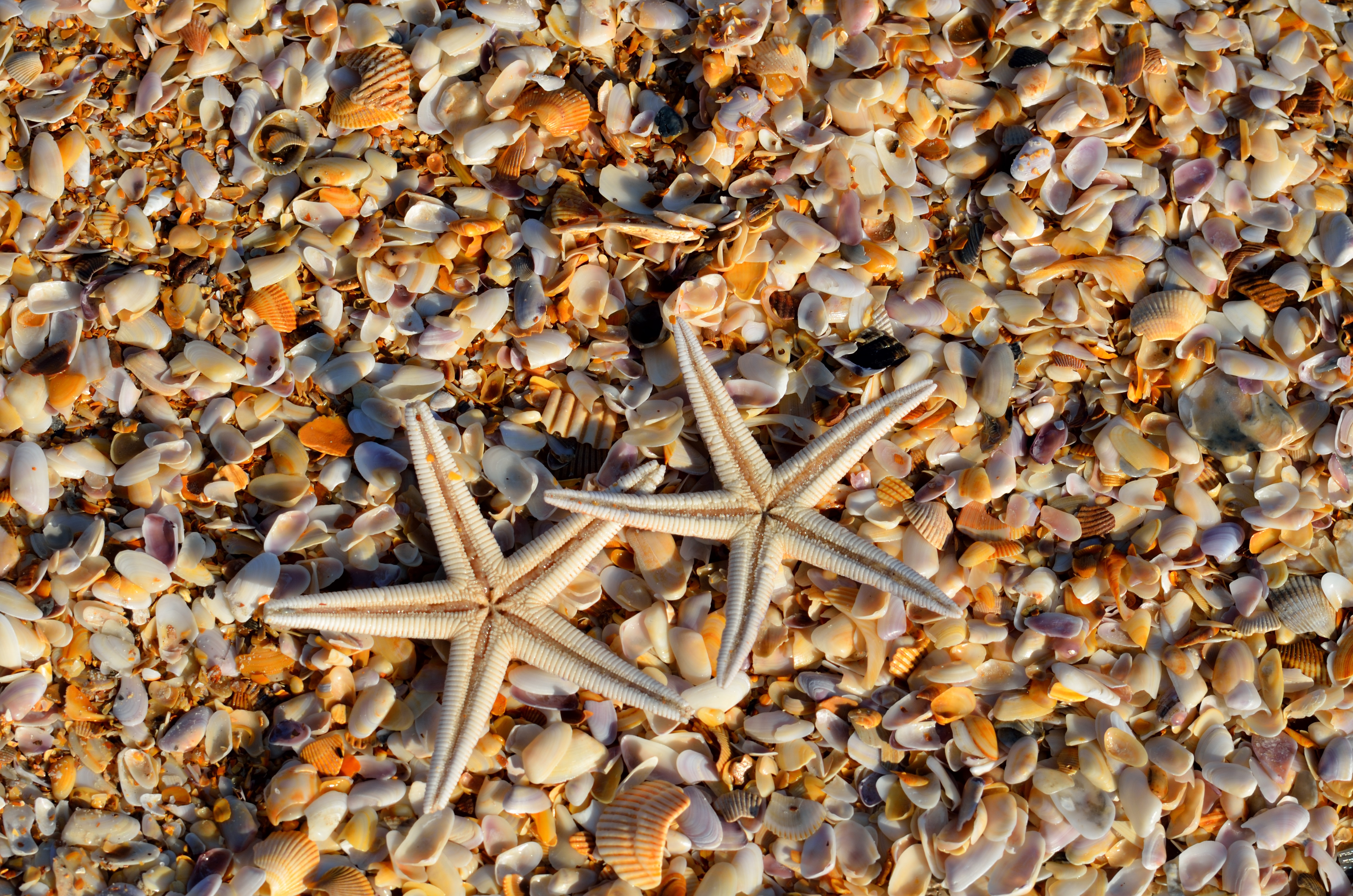 Wallpapers beach sea nature on the desktop