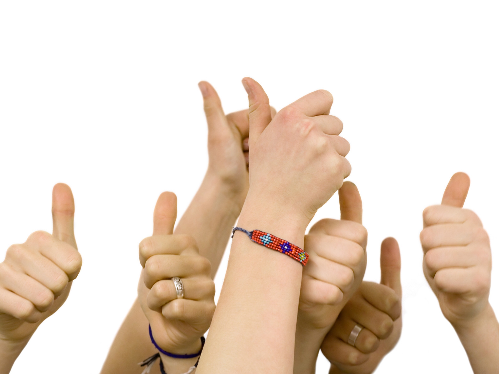 桌面上的壁纸人民 手上 凉爽