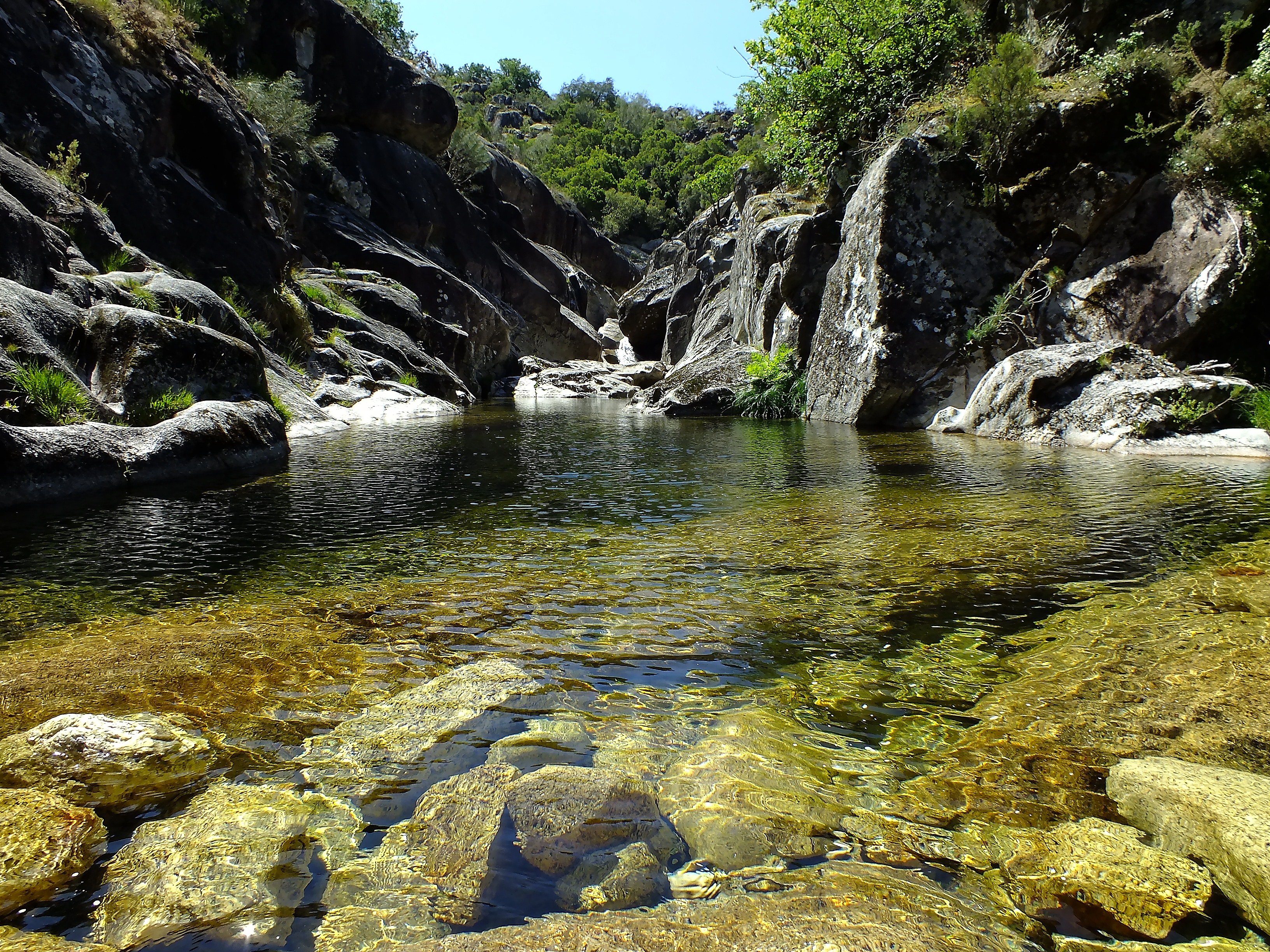 Обои вода поток долина на рабочий стол