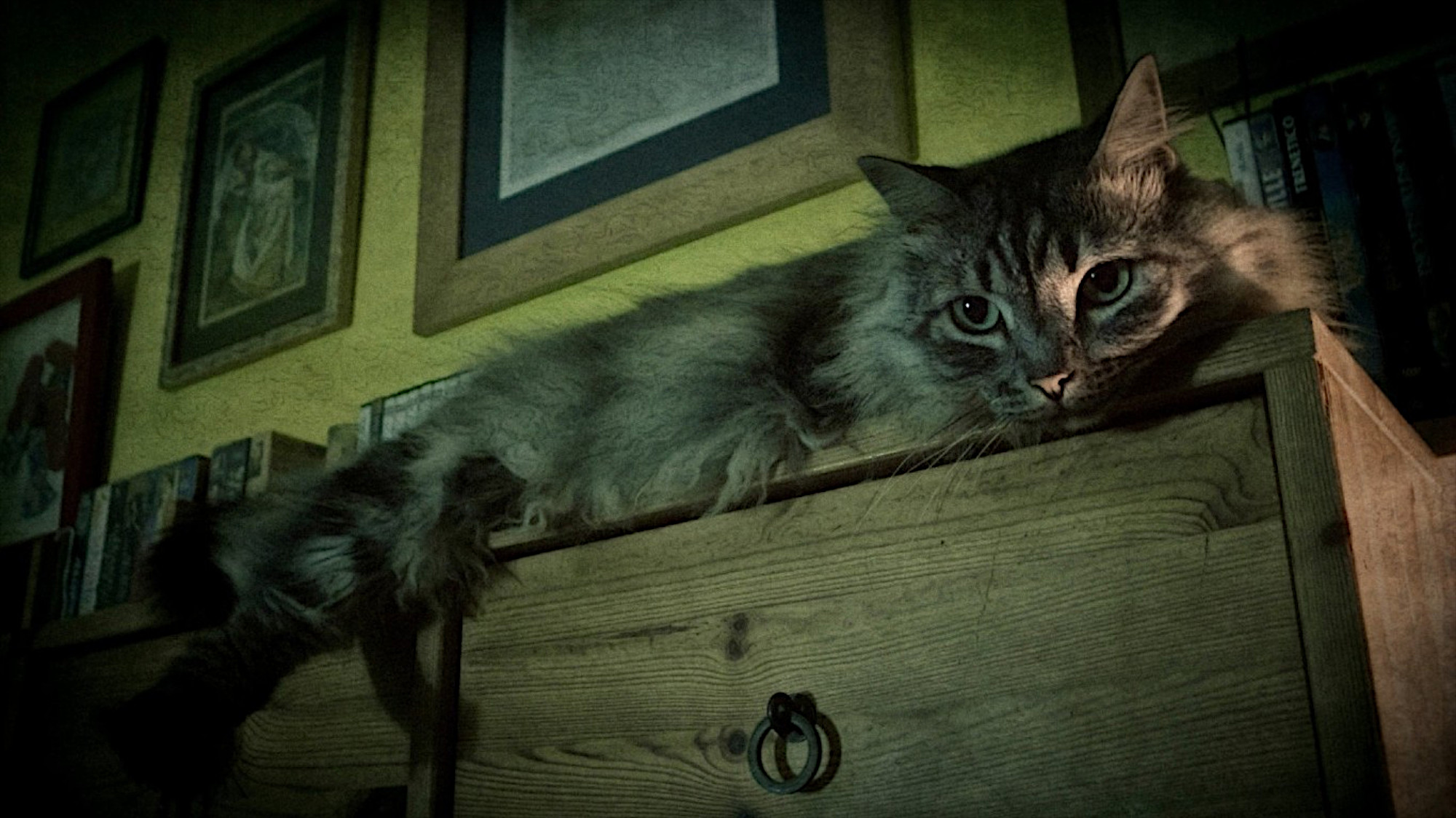 Free photo Homemade coca lying on the dresser