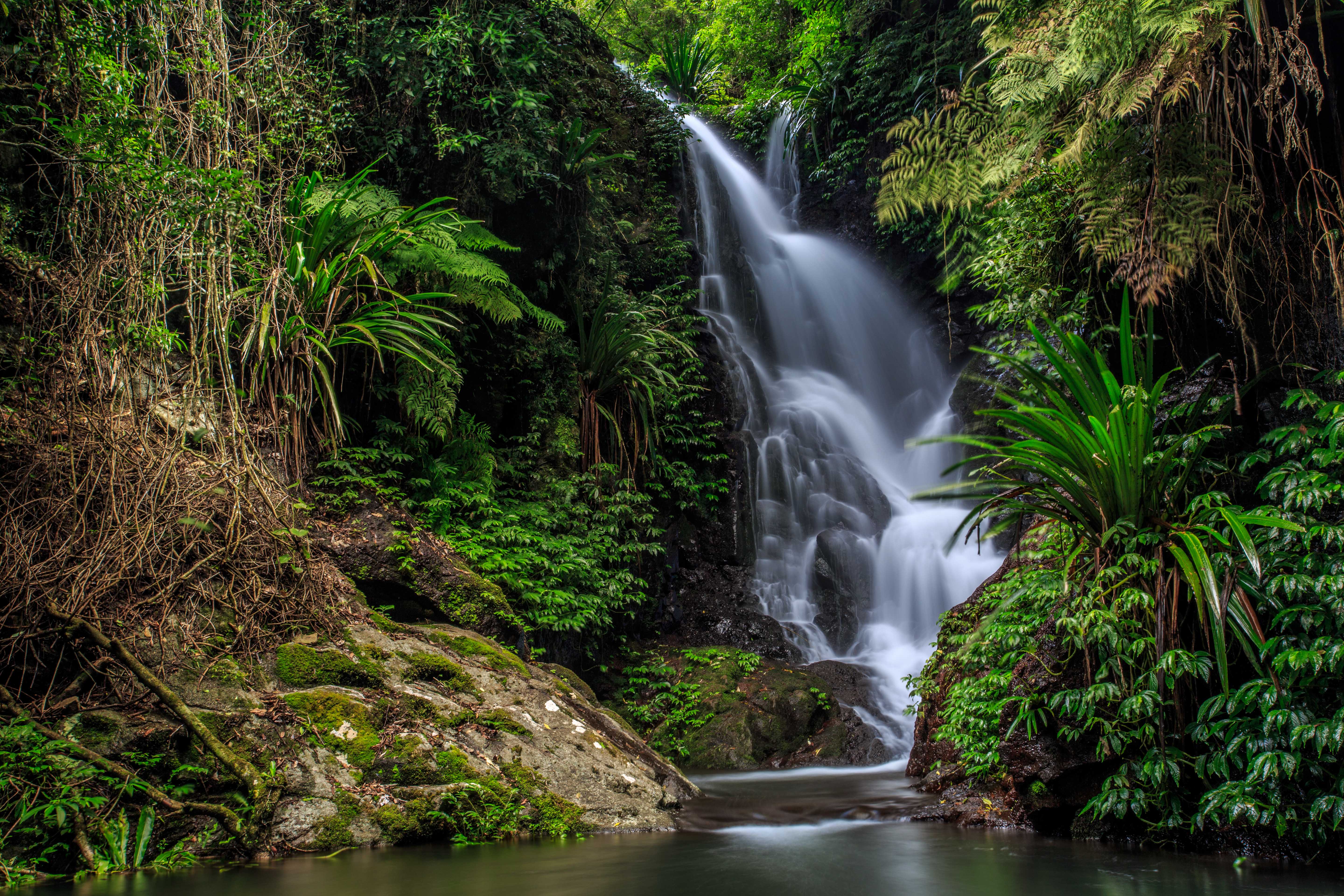 Wallpapers Elabana Falls at Lamington National Park Queensland Australia on the desktop