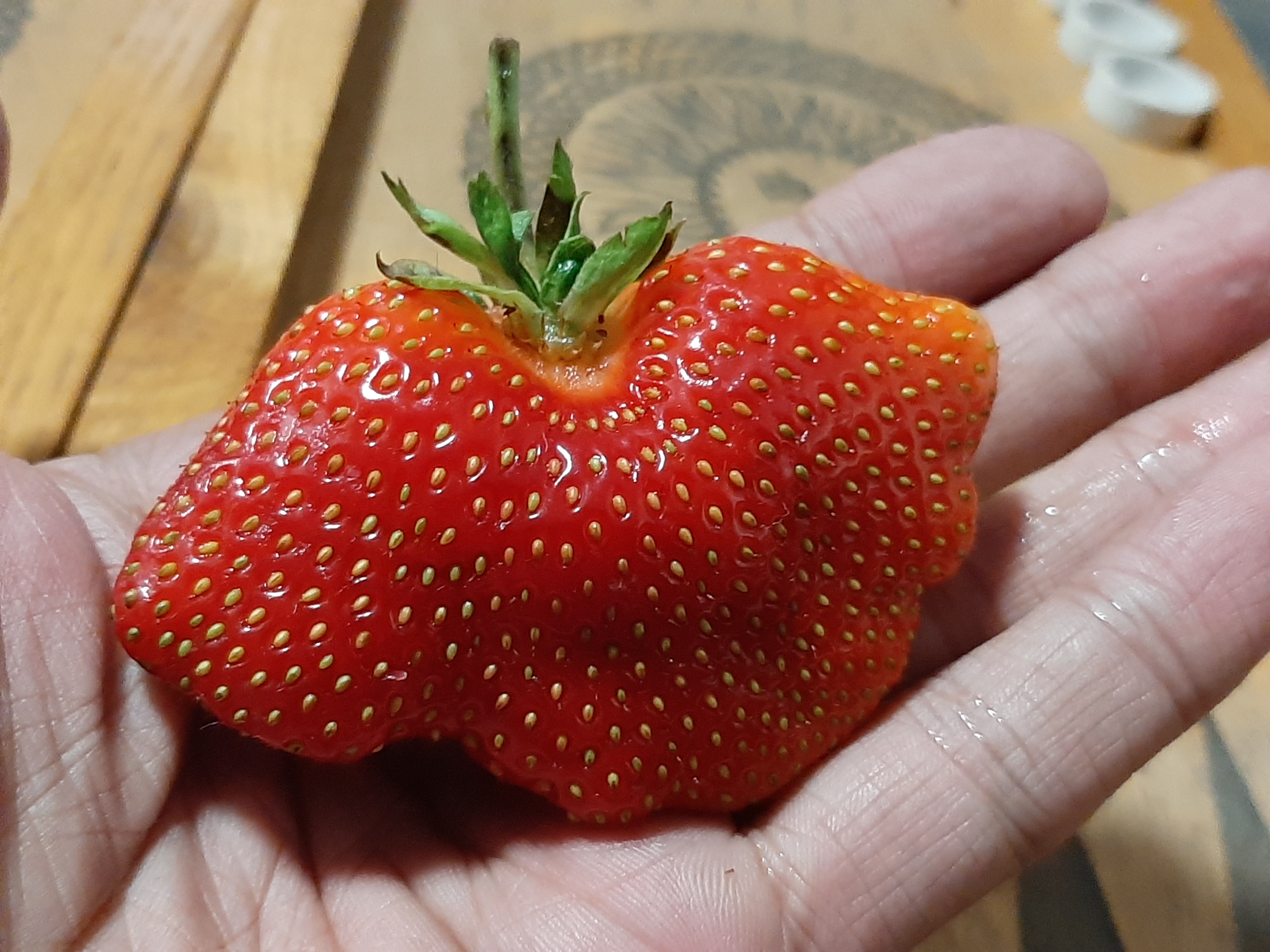 一个巨大的草莓