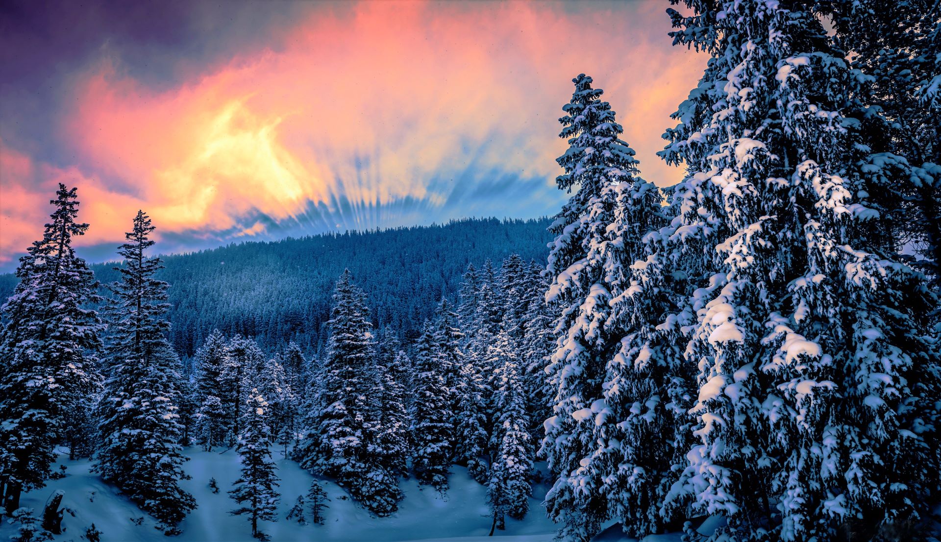 Free photo Sunrise over the snowy forest