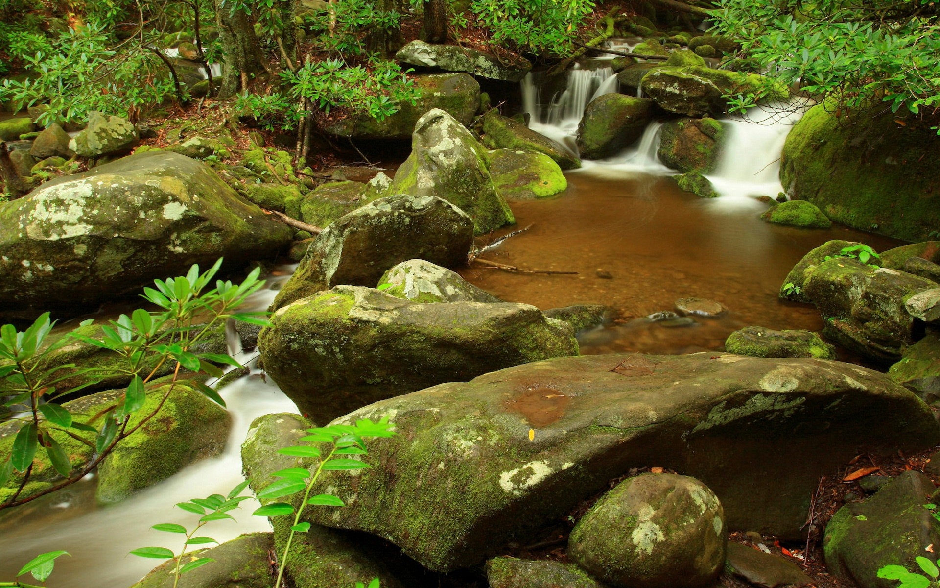 Free photo A small waterfall in the woods near the rocks