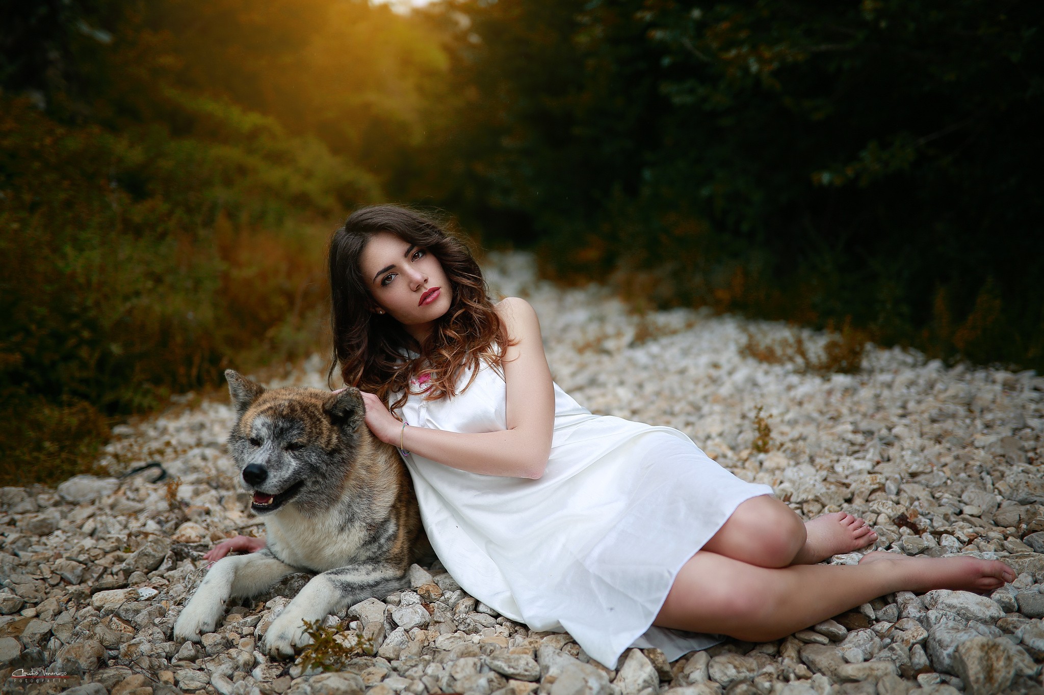 Wallpapers dog red lipstick women outdoors on the desktop