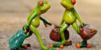 Лягушки отправились в путешествие