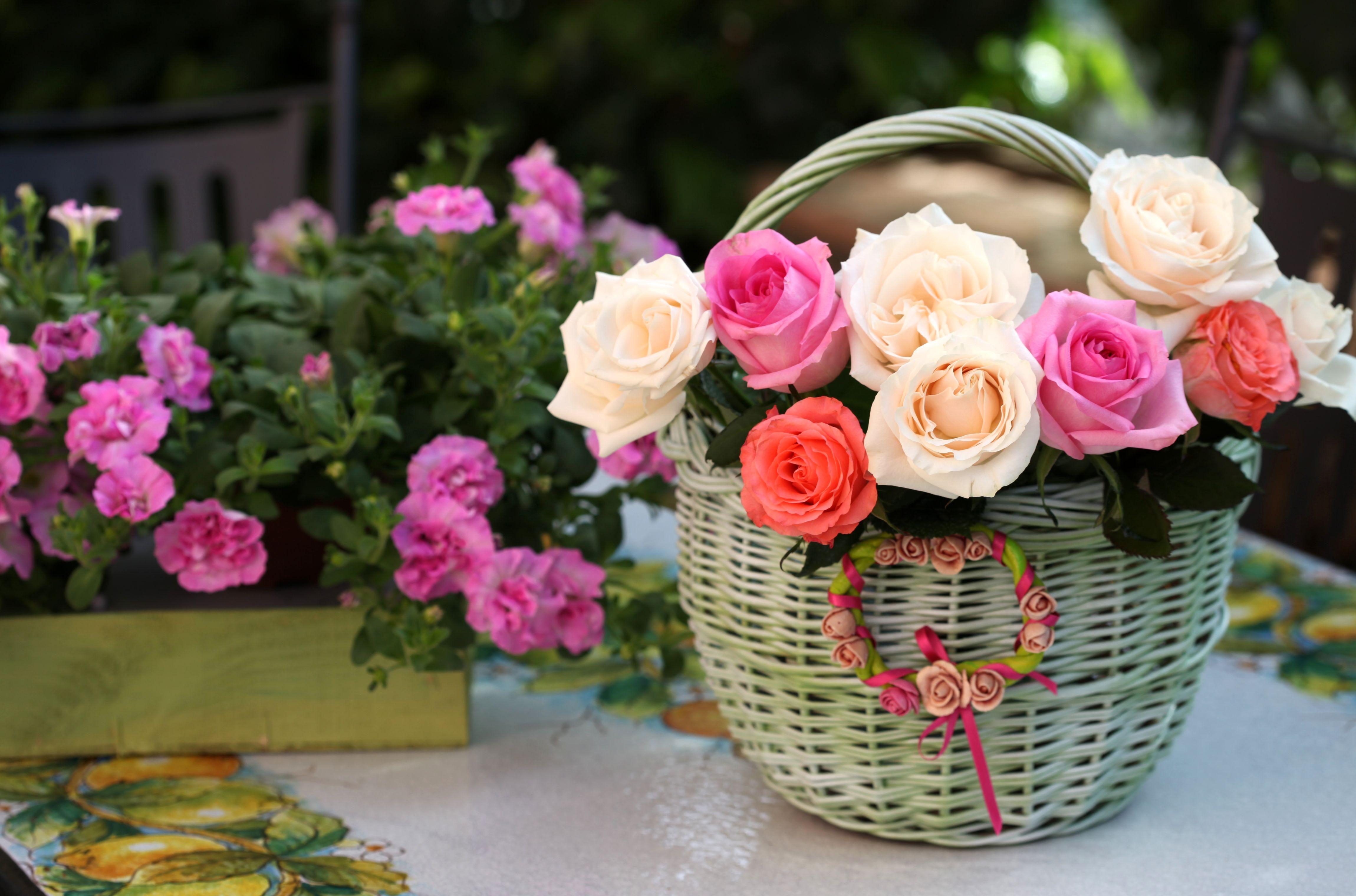 A basket of colored roses