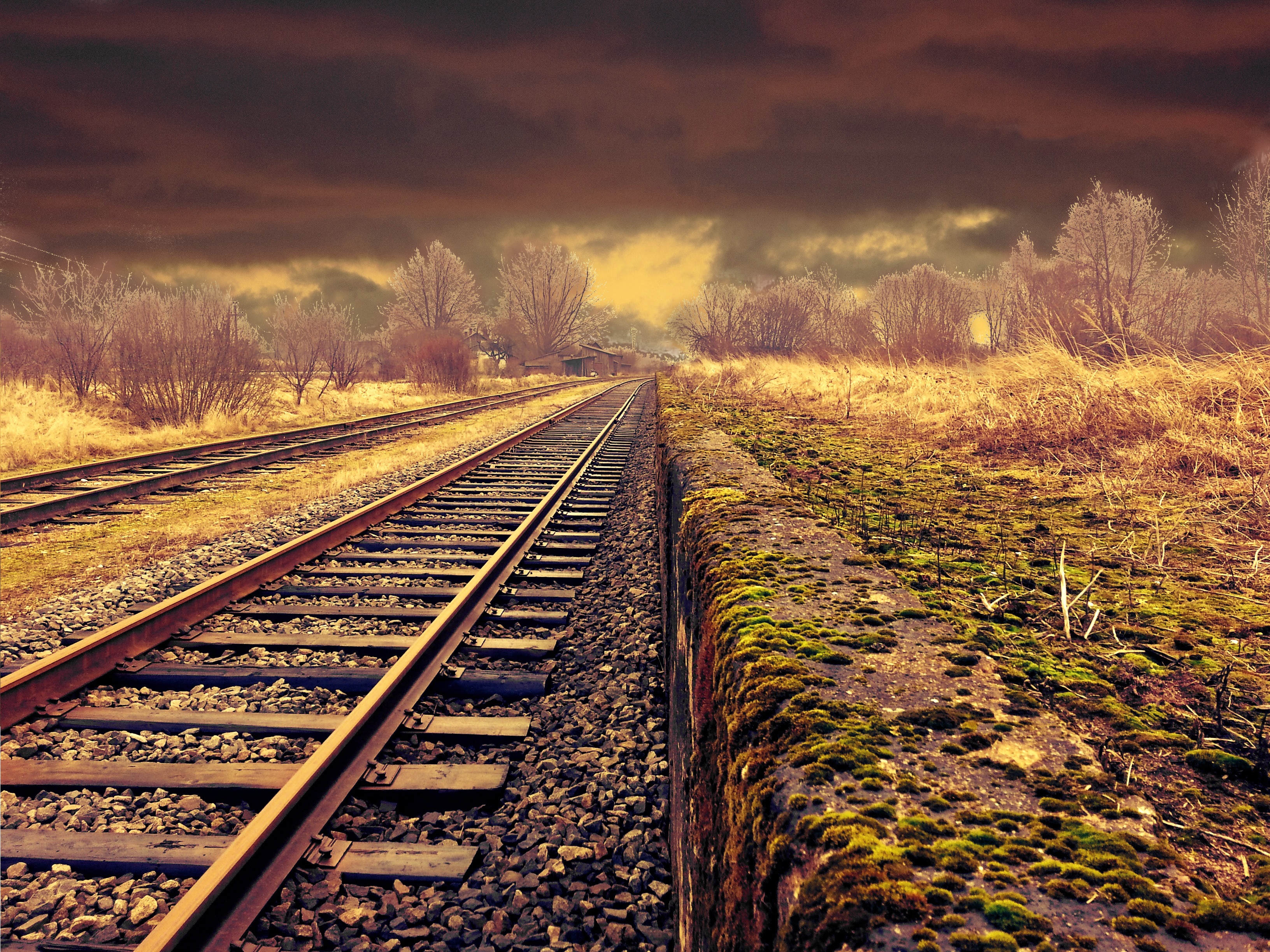 The Forgotten Railroad
