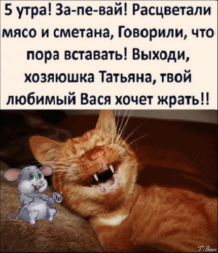 Postcard on the theme morning humor animals grin download for free