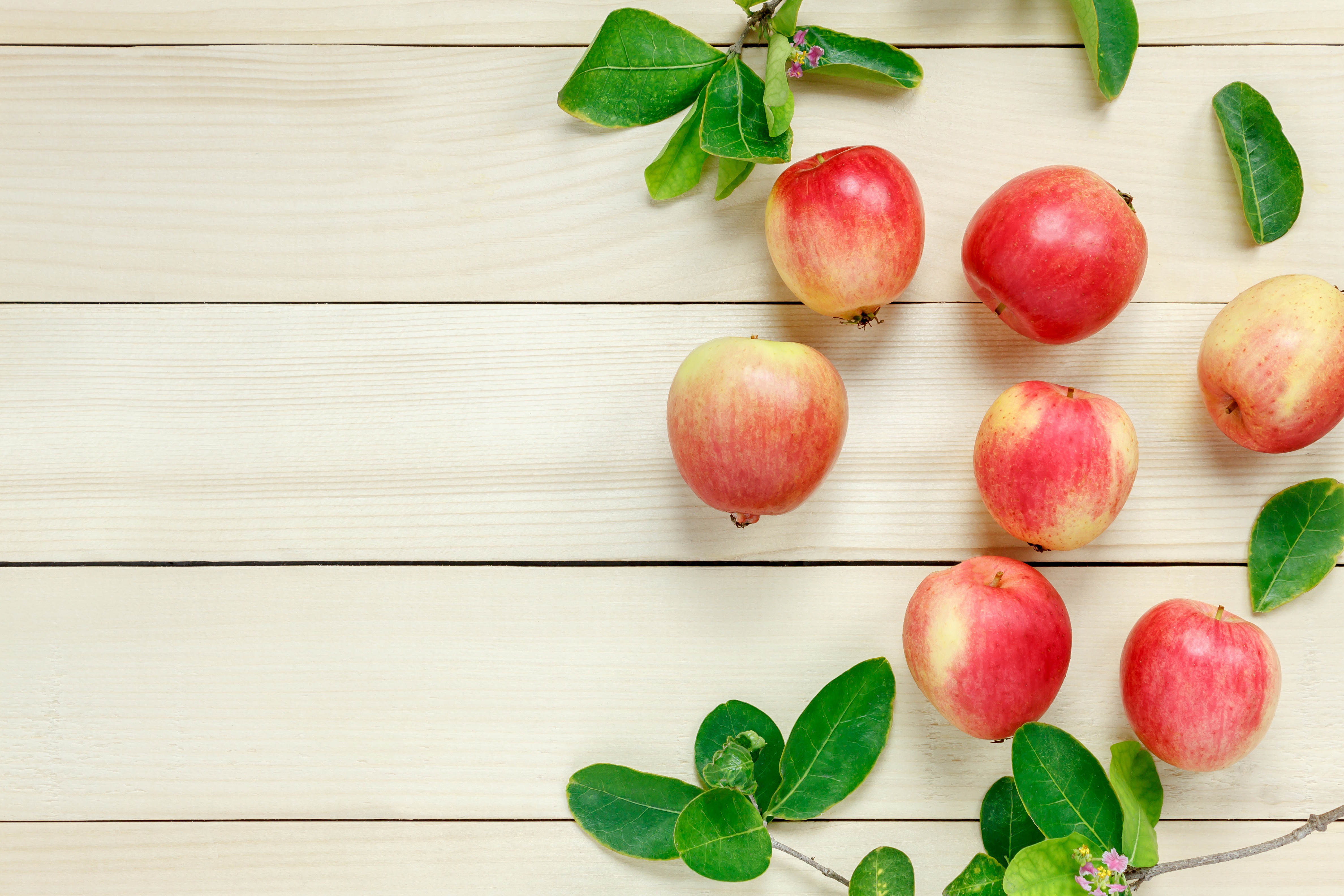 Free photo Scattering apples and leaves