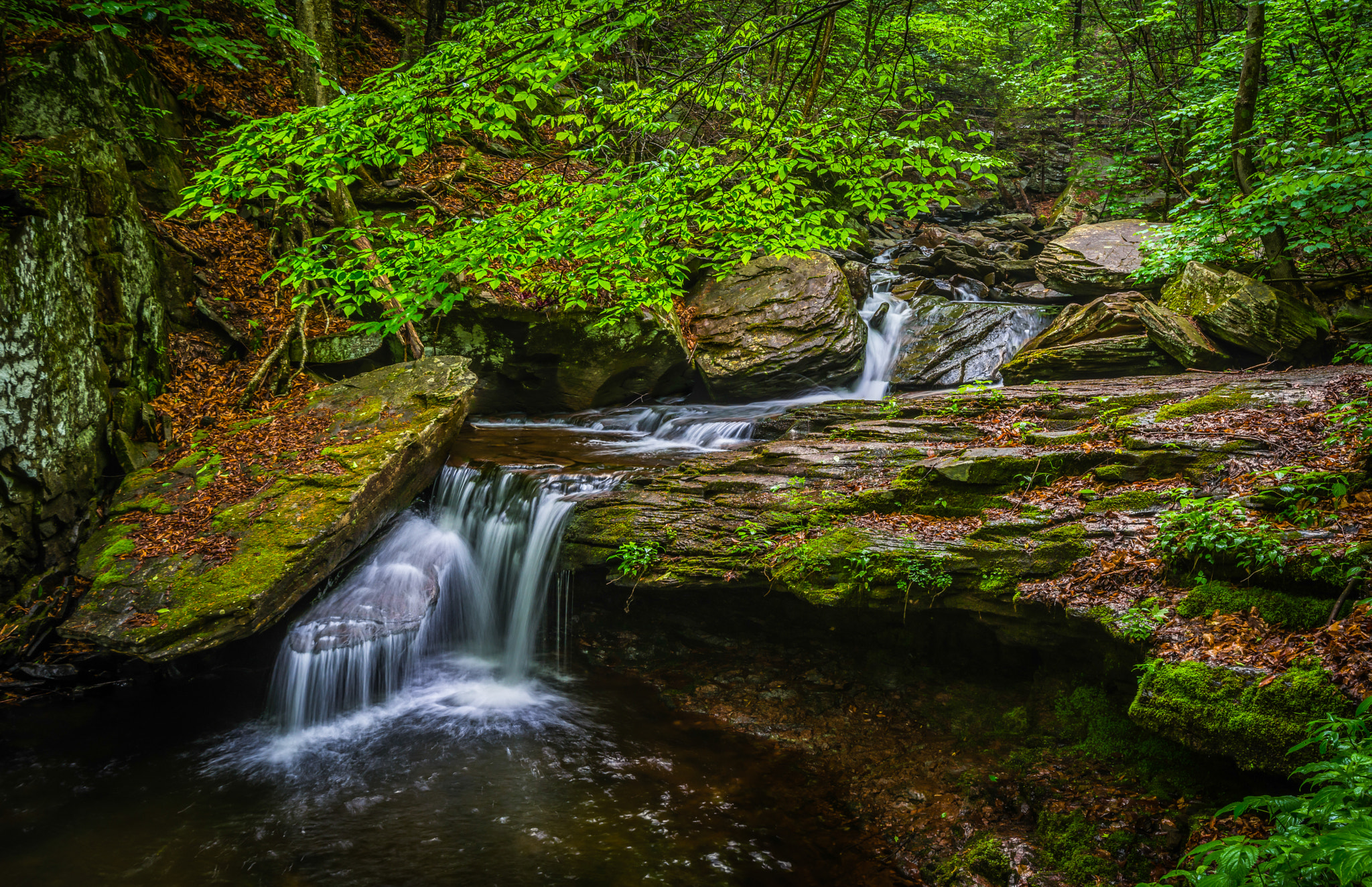 Free photo A stream in rocky terrain